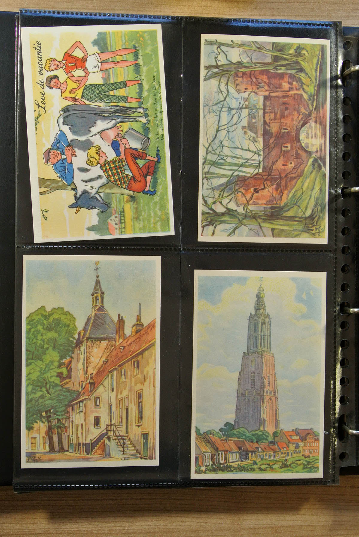 13066 008 - 13066 Netherlands picture postcards.