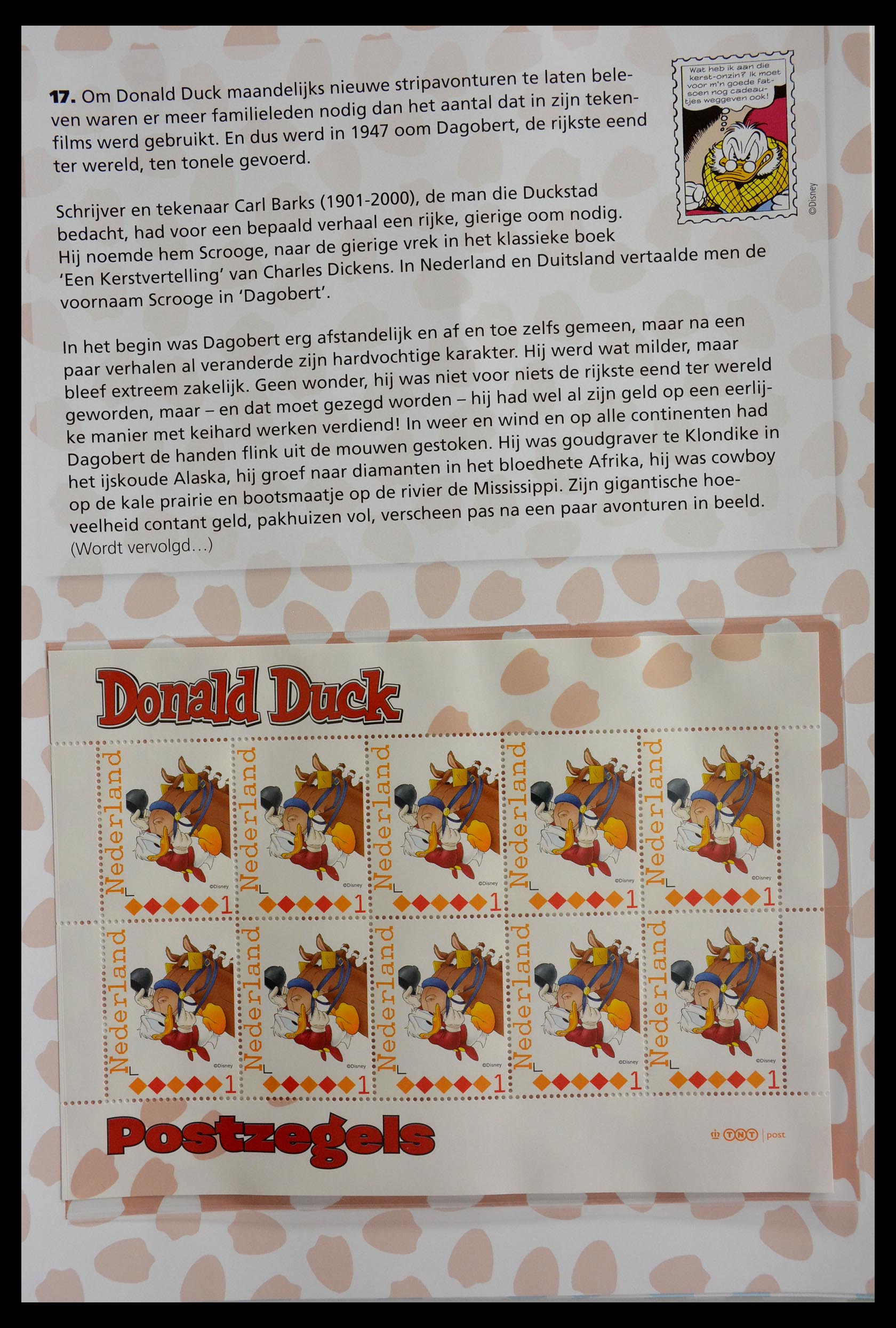 13101 017 - 13101 Netherlands Duckstad.