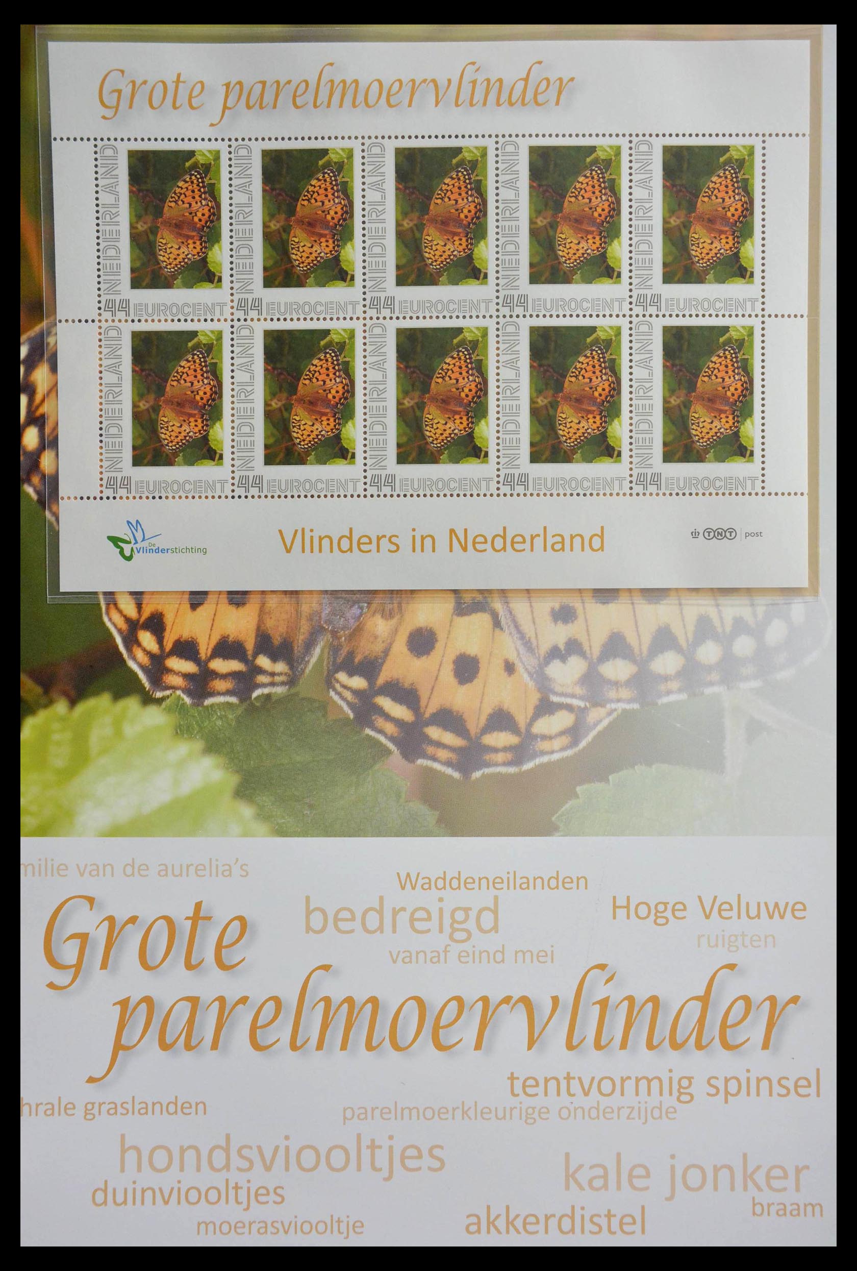 13105 001 - 13105 Butterflies in the Netherlands.