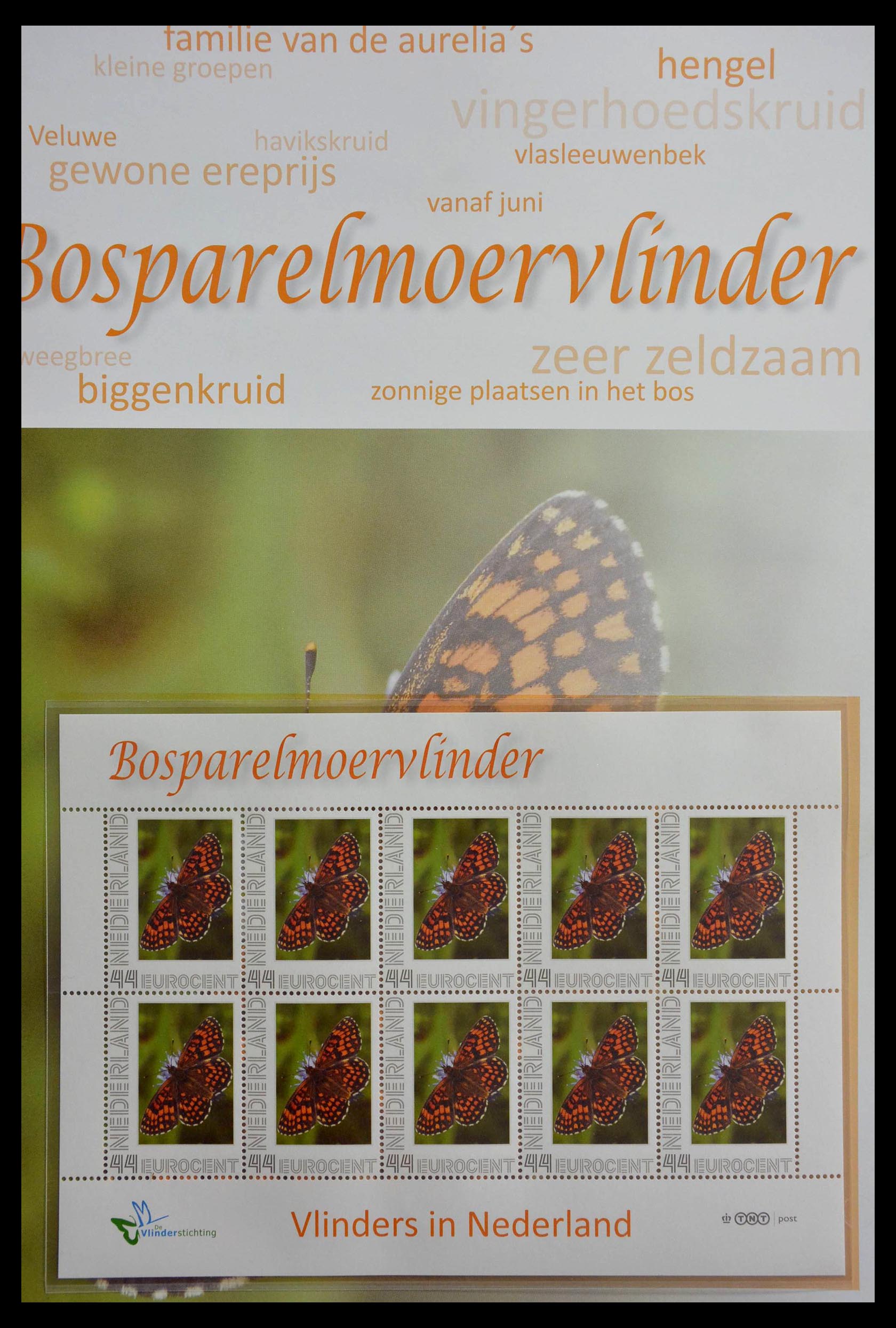 13105 002 - 13105 Butterflies in the Netherlands.