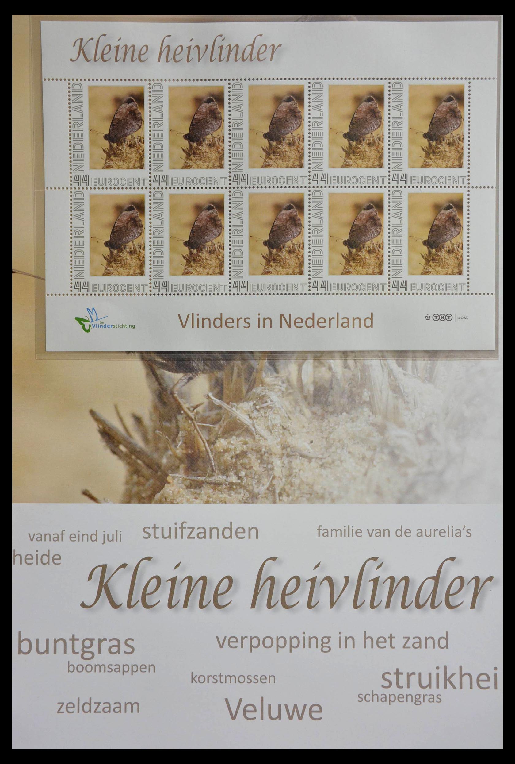 13105 003 - 13105 Butterflies in the Netherlands.