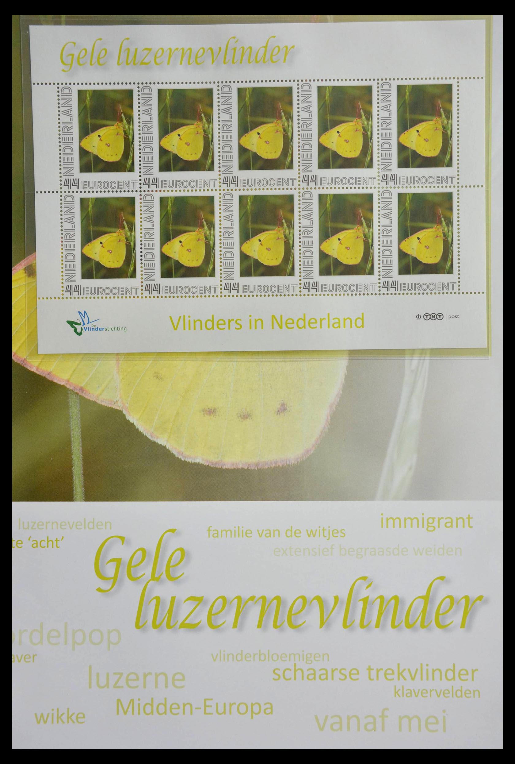 13105 004 - 13105 Butterflies in the Netherlands.