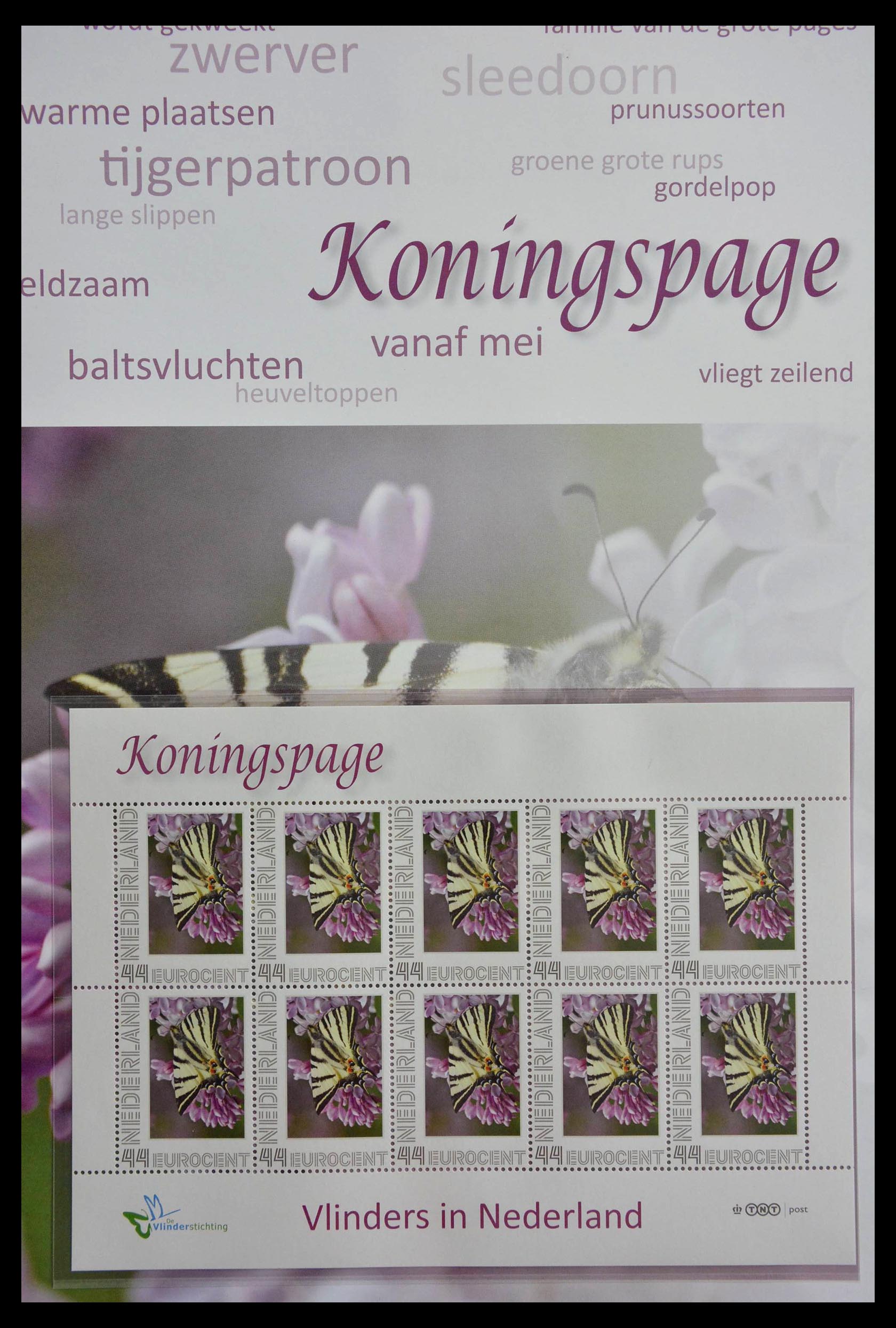 13105 005 - 13105 Butterflies in the Netherlands.