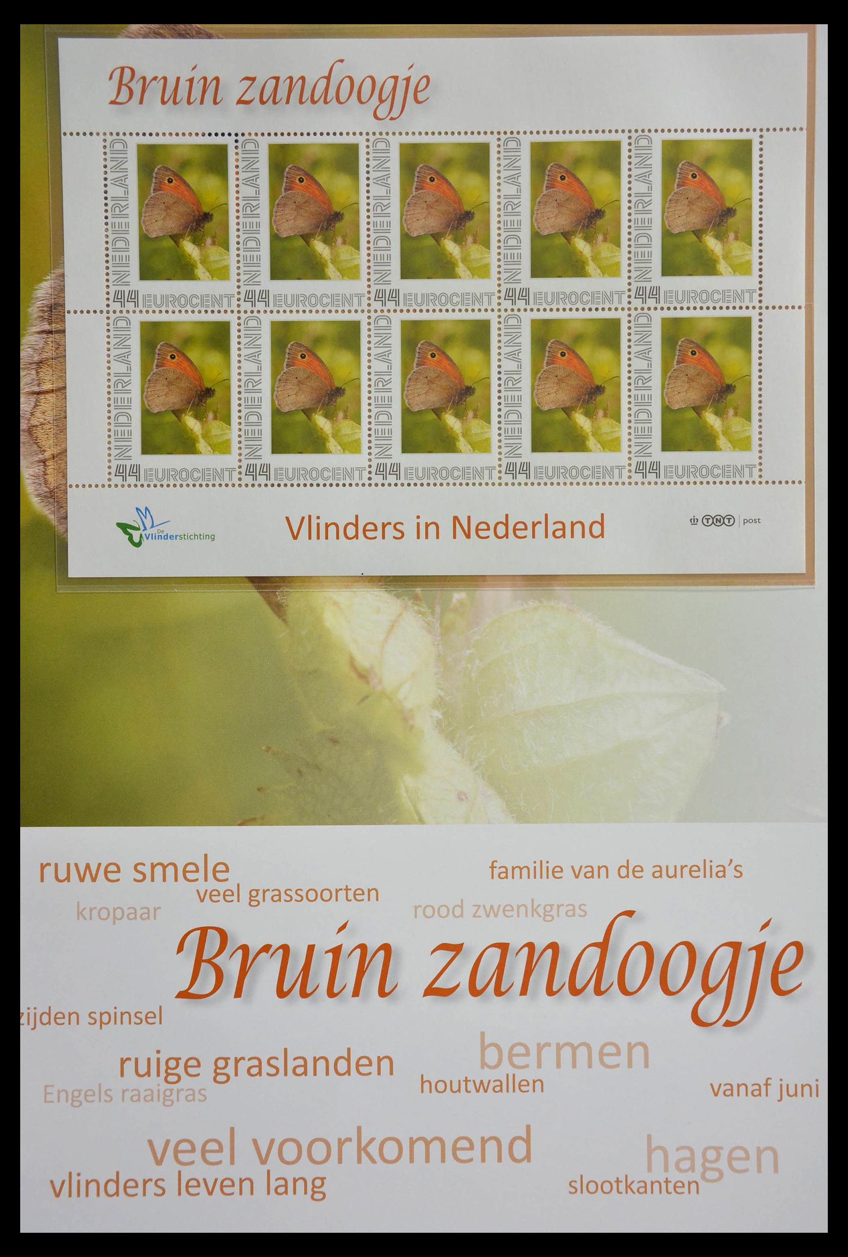 13105 007 - 13105 Butterflies in the Netherlands.