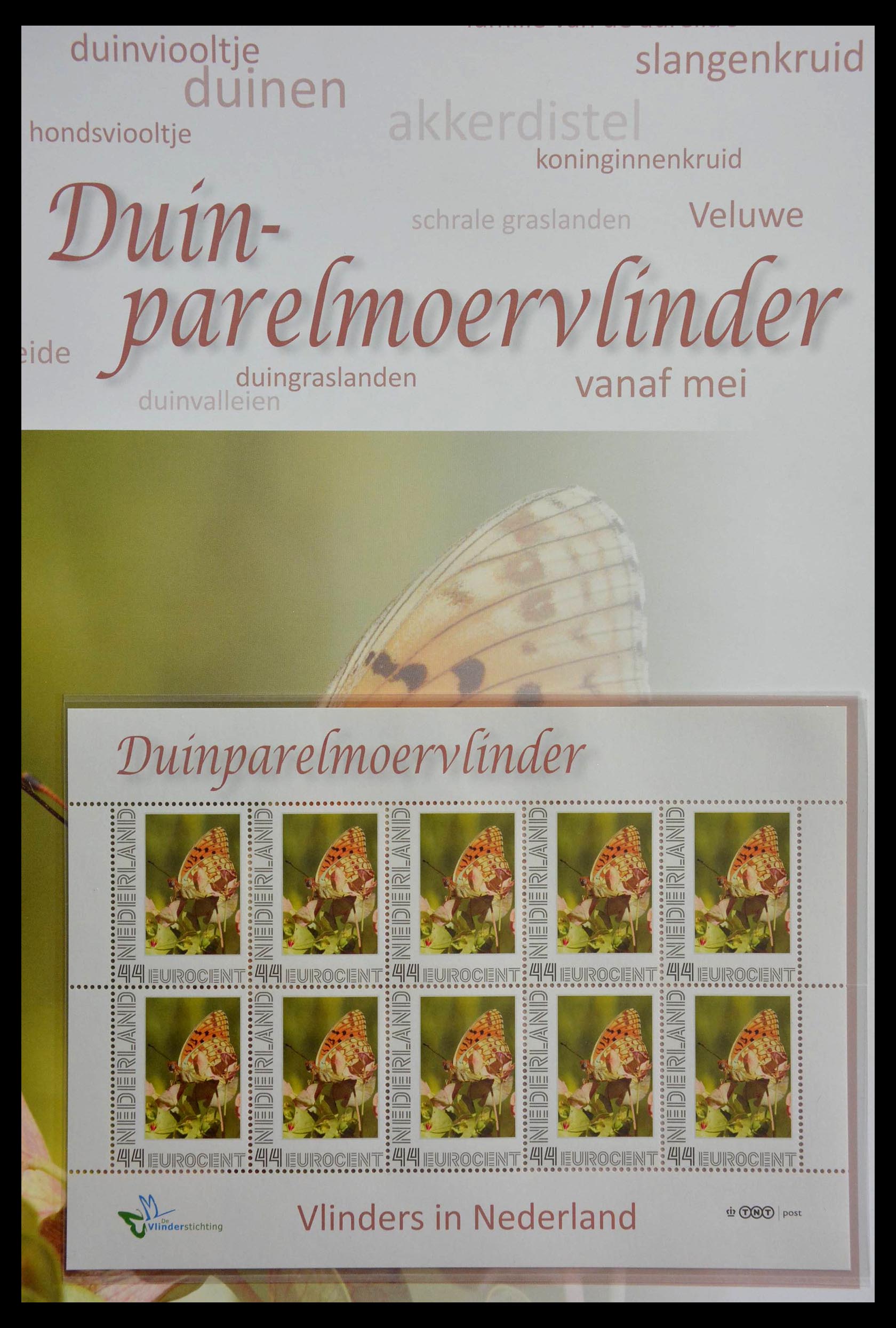 13105 008 - 13105 Butterflies in the Netherlands.