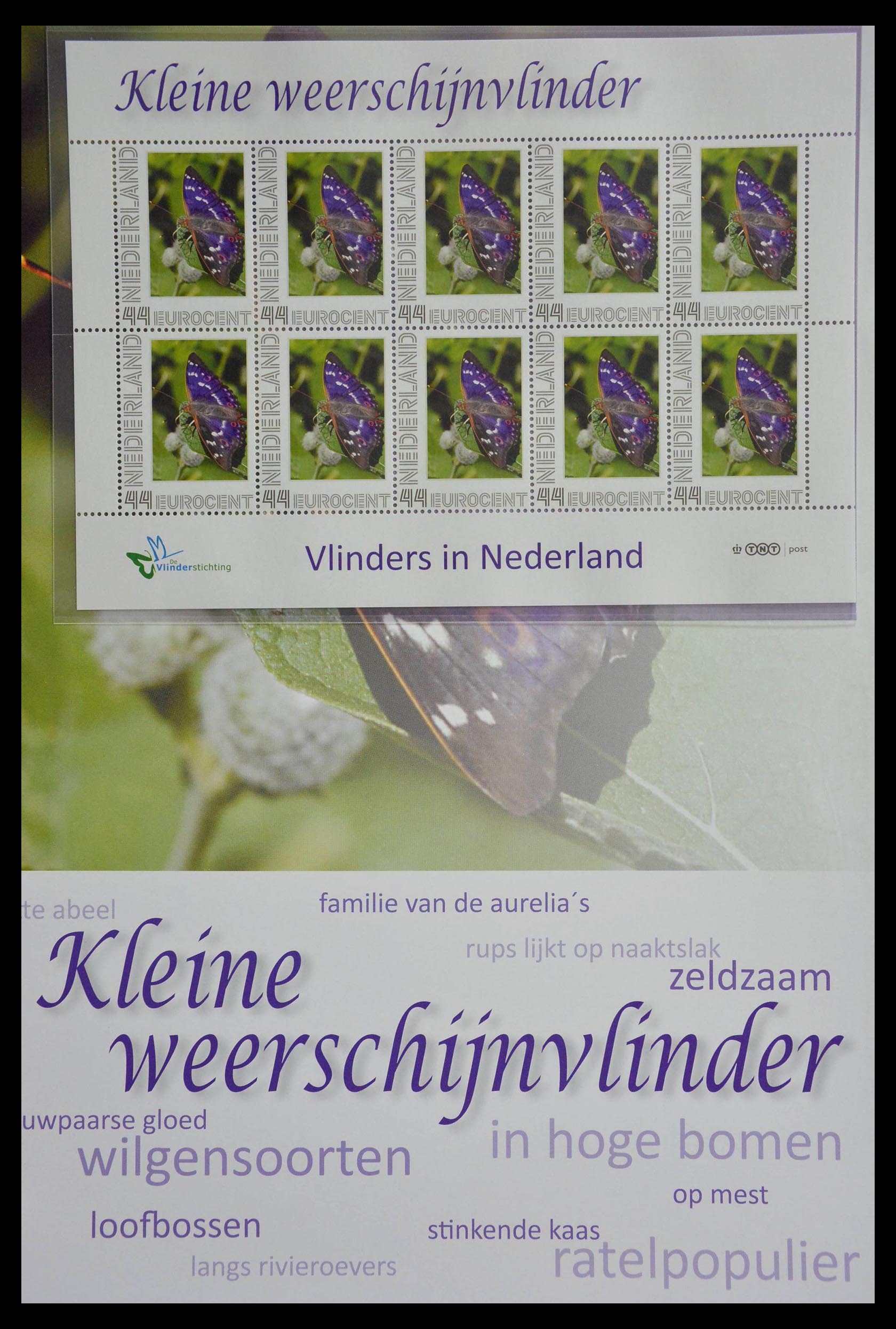 13105 009 - 13105 Butterflies in the Netherlands.