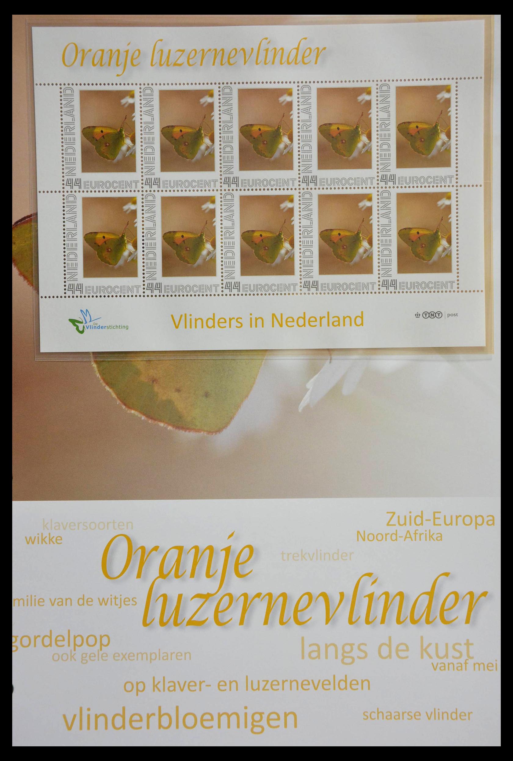 13105 011 - 13105 Butterflies in the Netherlands.