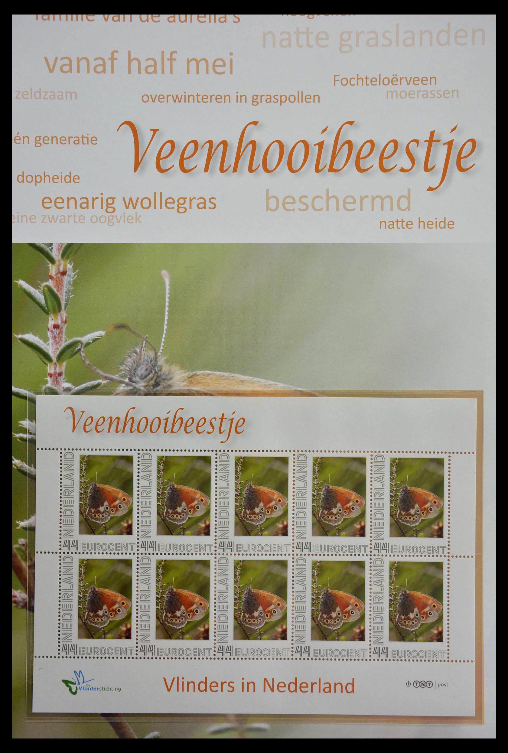 13105 012 - 13105 Butterflies in the Netherlands.