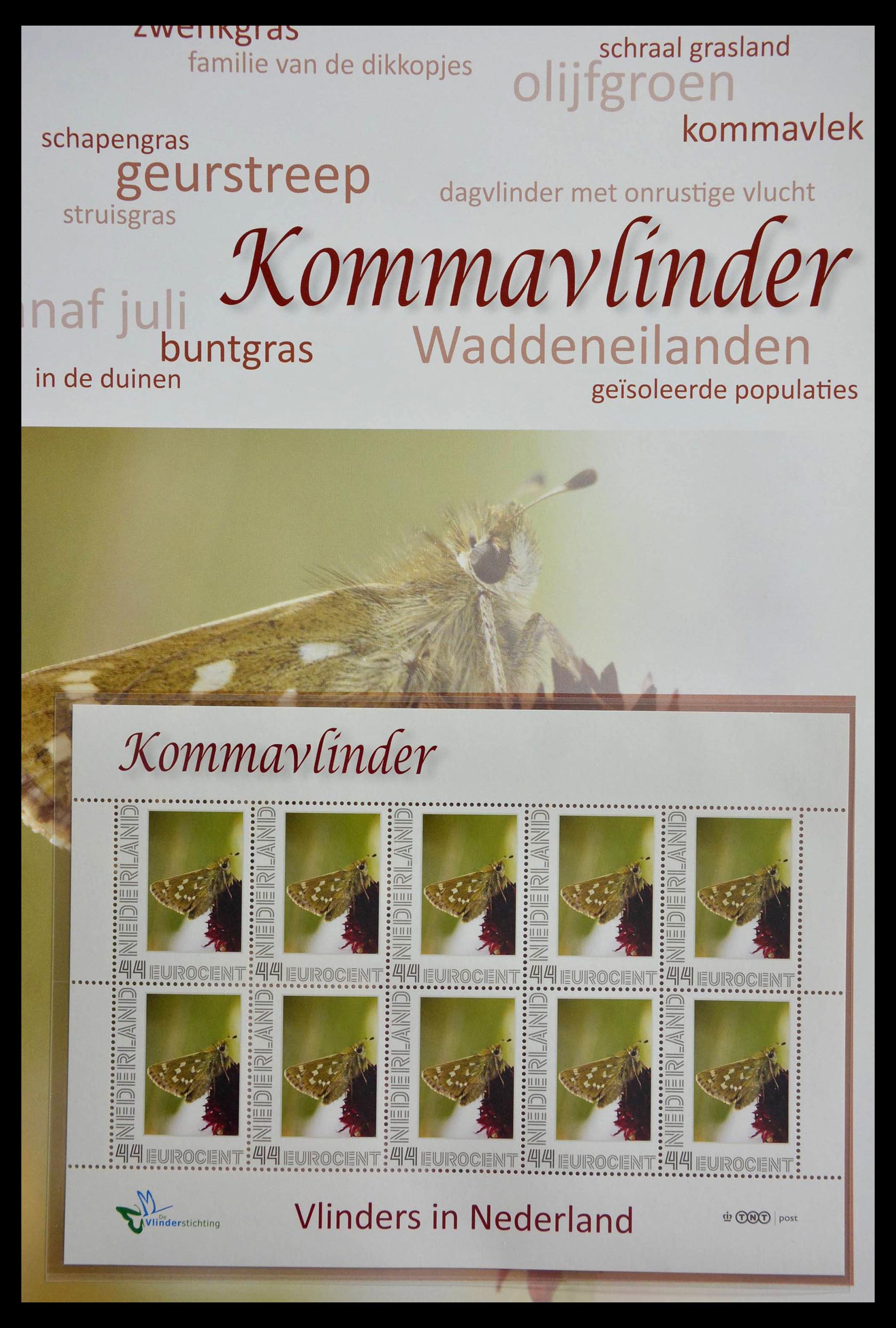 13105 013 - 13105 Butterflies in the Netherlands.