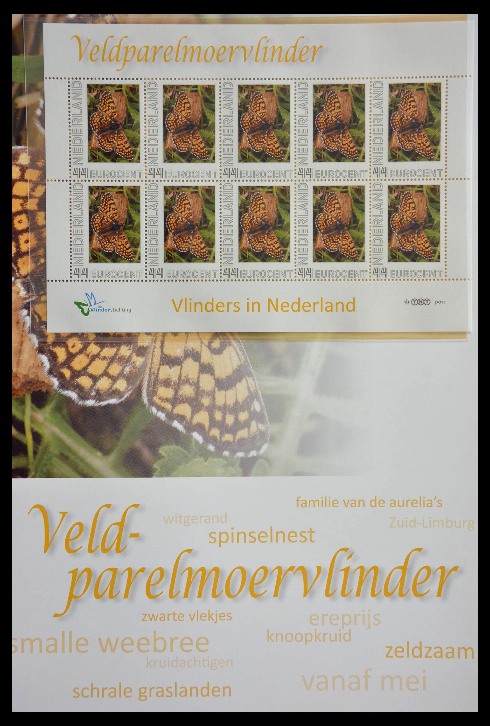 13105 014 - 13105 Butterflies in the Netherlands.