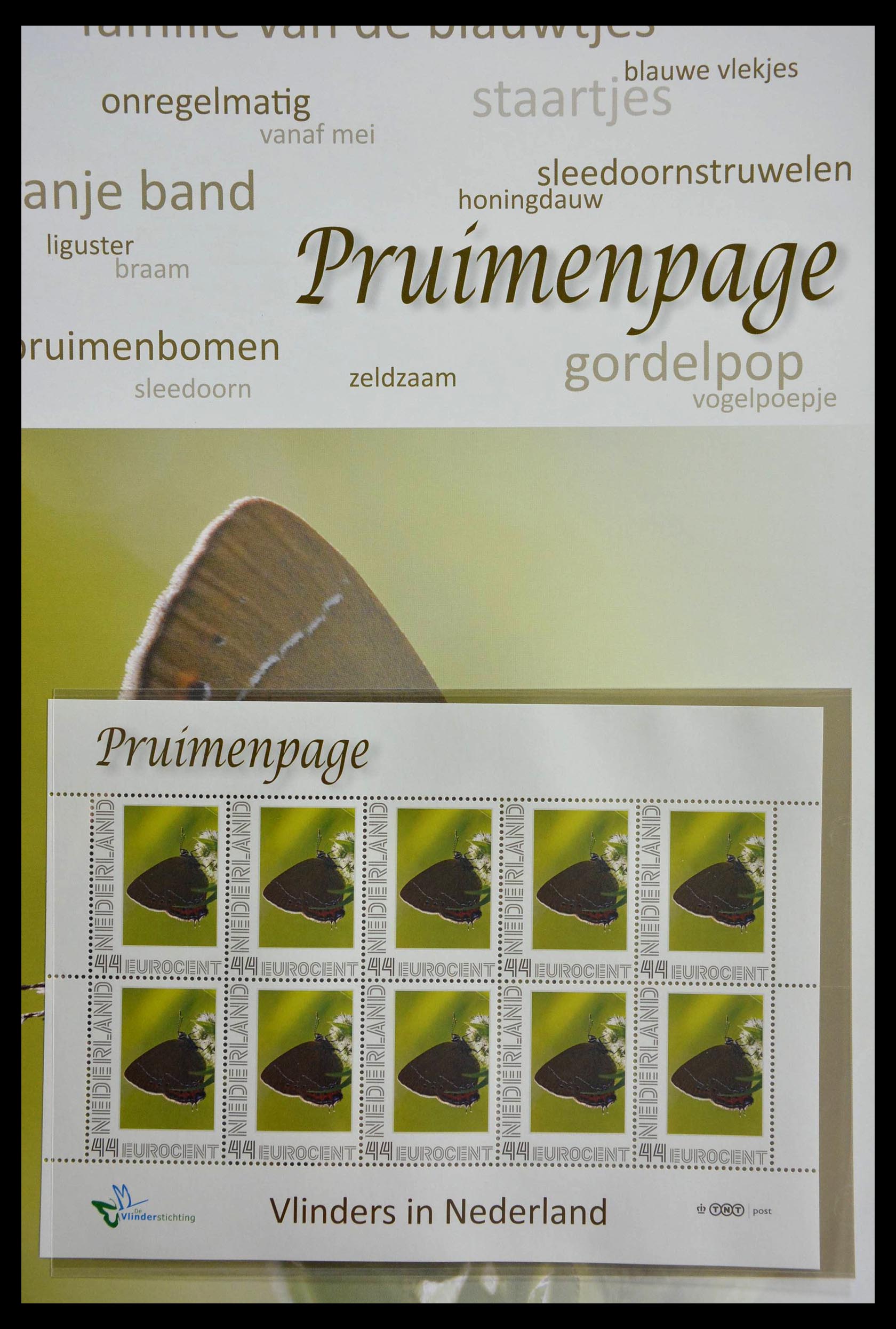 13105 015 - 13105 Butterflies in the Netherlands.