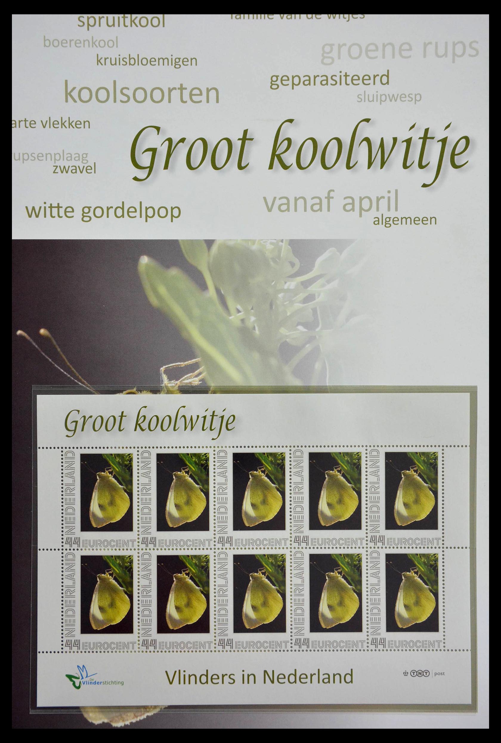 13105 017 - 13105 Vlinders in Nederland.
