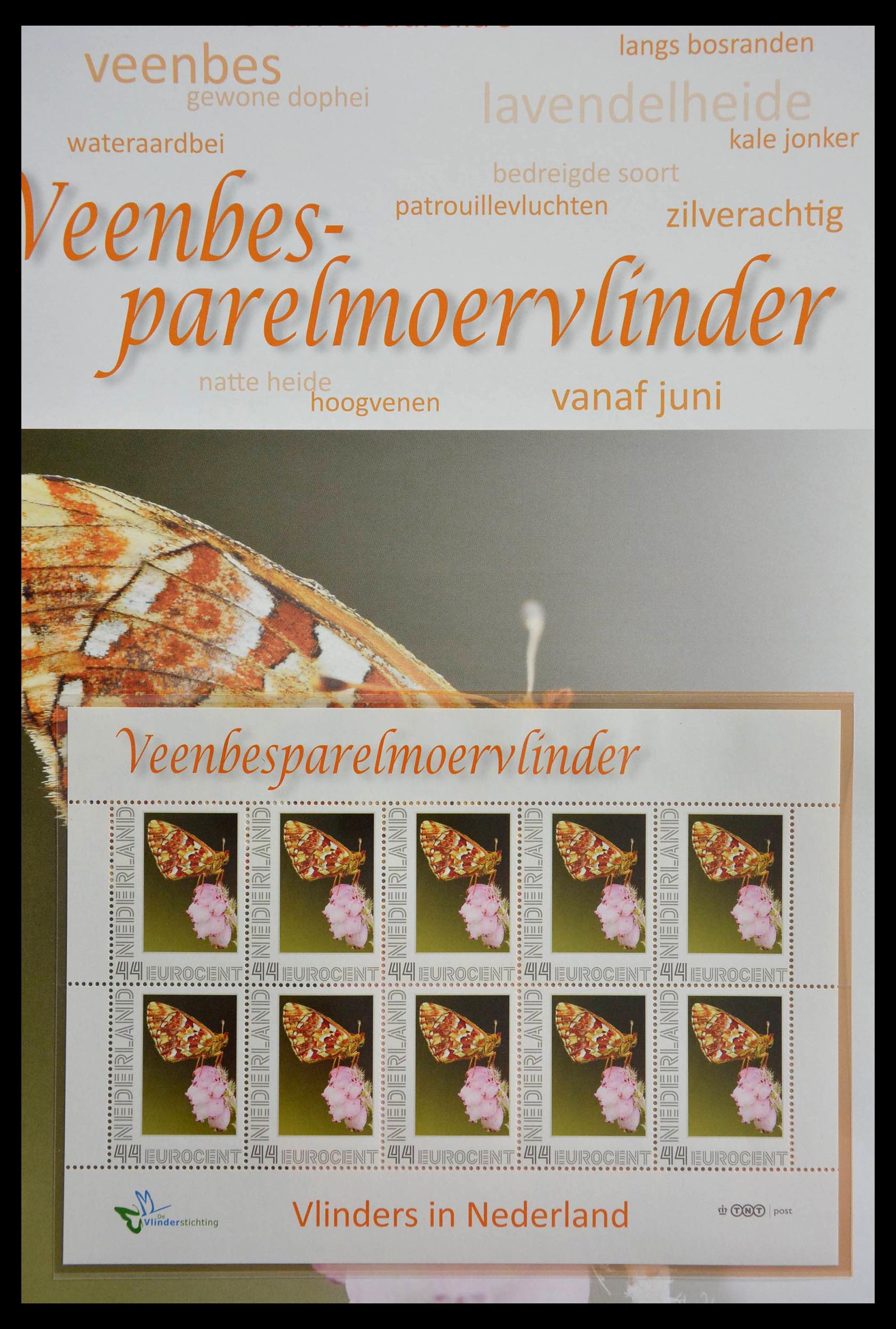 13105 018 - 13105 Butterflies in the Netherlands.