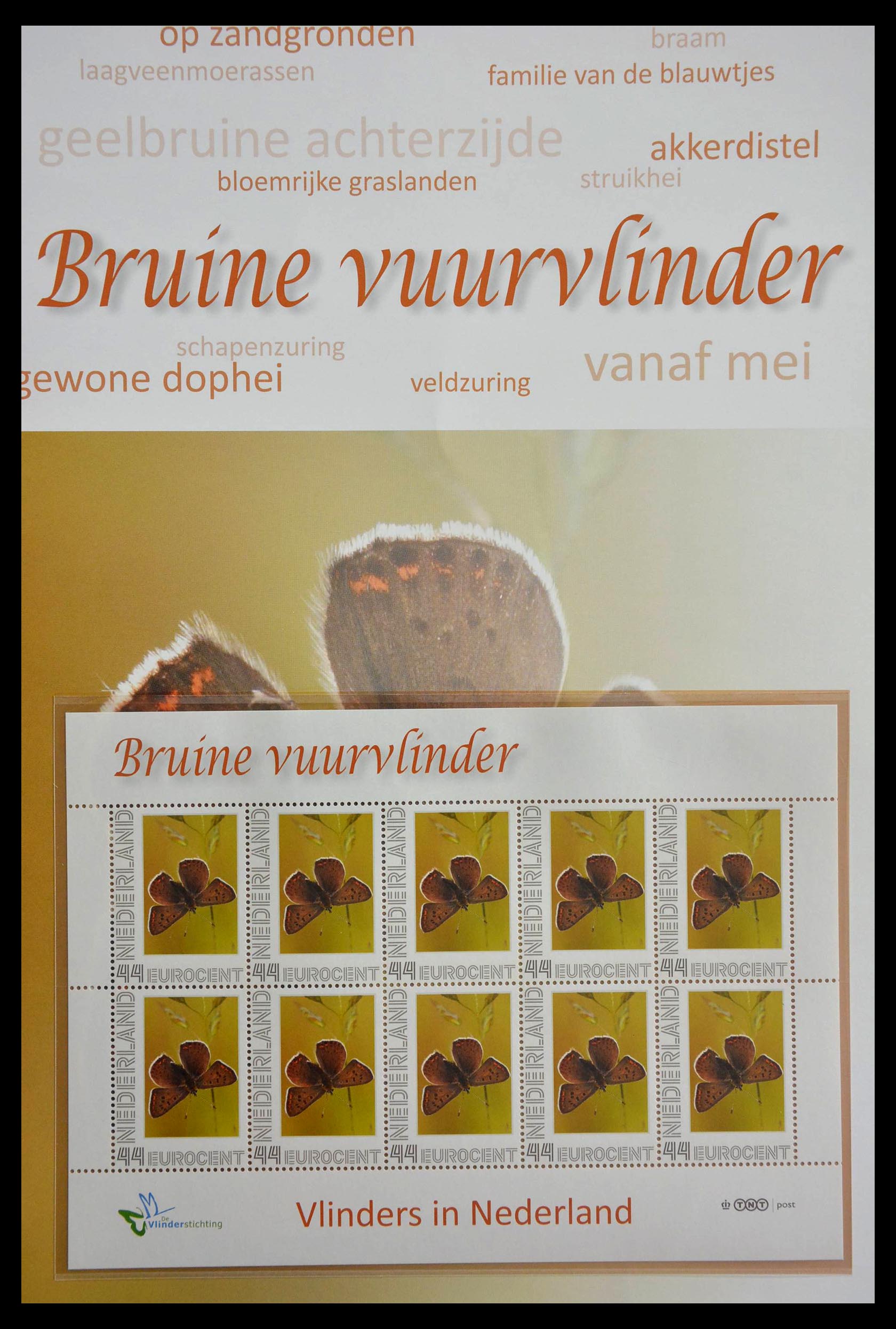 13105 020 - 13105 Vlinders in Nederland.