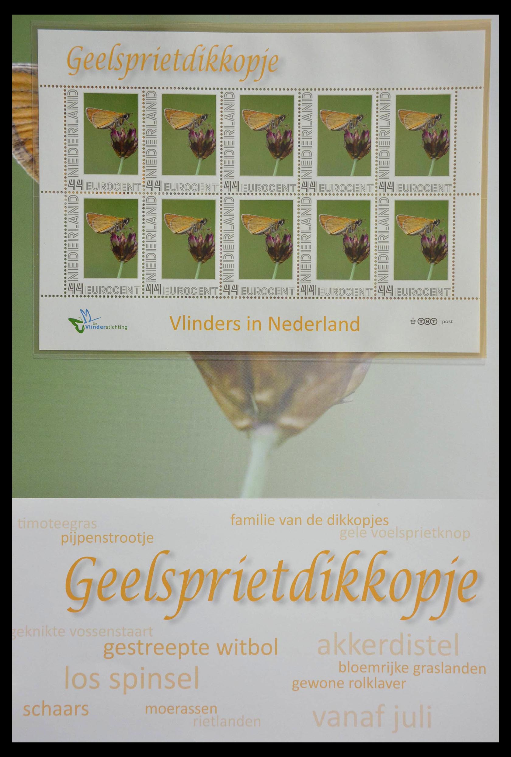13105 023 - 13105 Butterflies in the Netherlands.