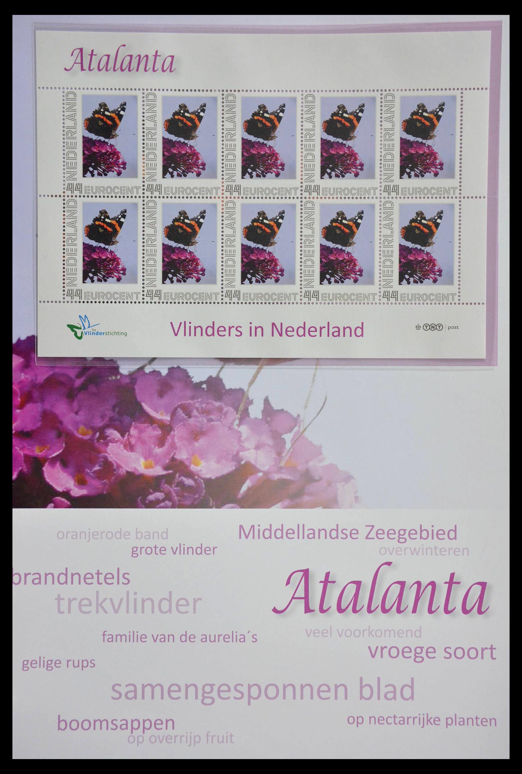 13105 028 - 13105 Butterflies in the Netherlands.