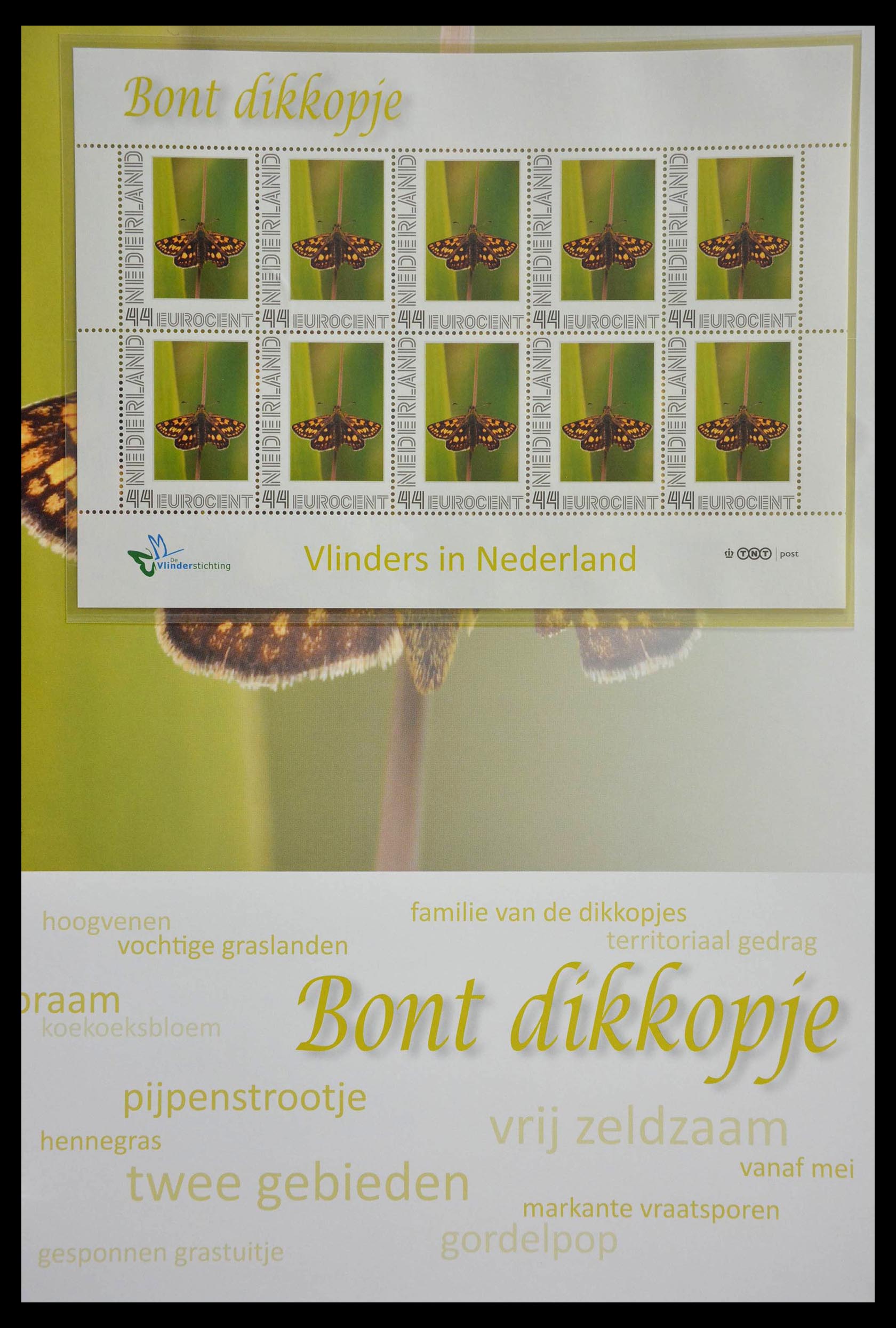 13105 030 - 13105 Butterflies in the Netherlands.