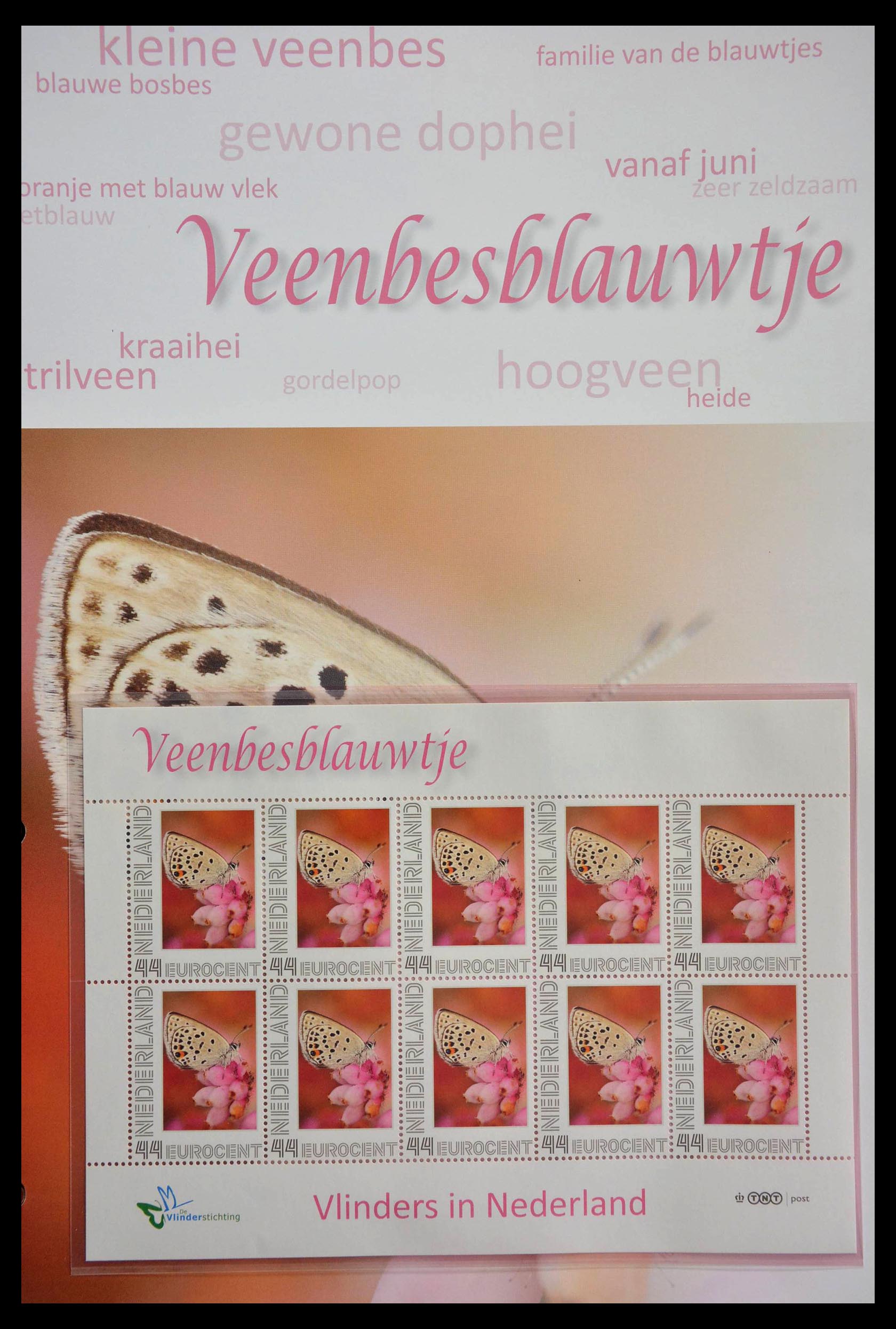 13105 031 - 13105 Butterflies in the Netherlands.