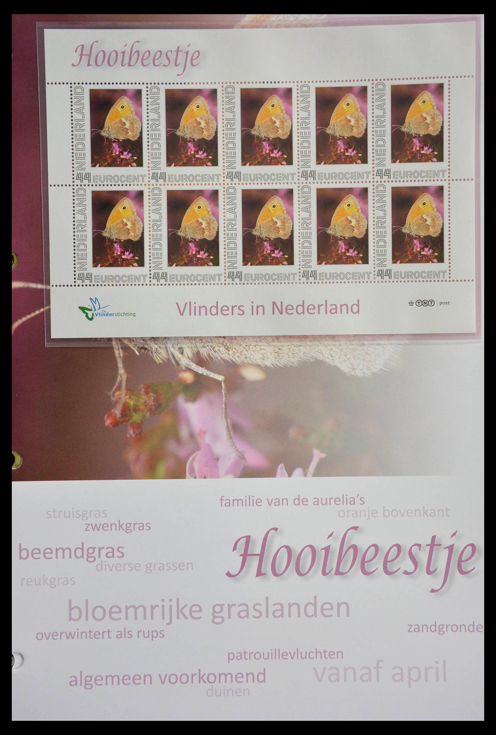 13105 032 - 13105 Butterflies in the Netherlands.