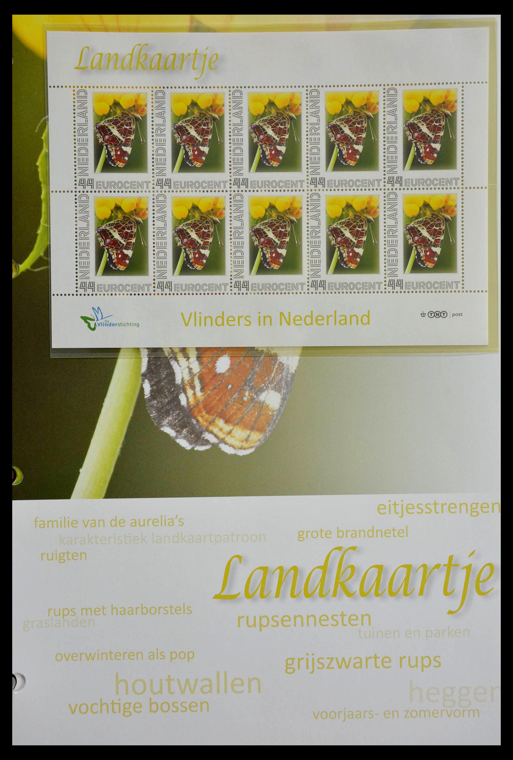 13105 038 - 13105 Butterflies in the Netherlands.