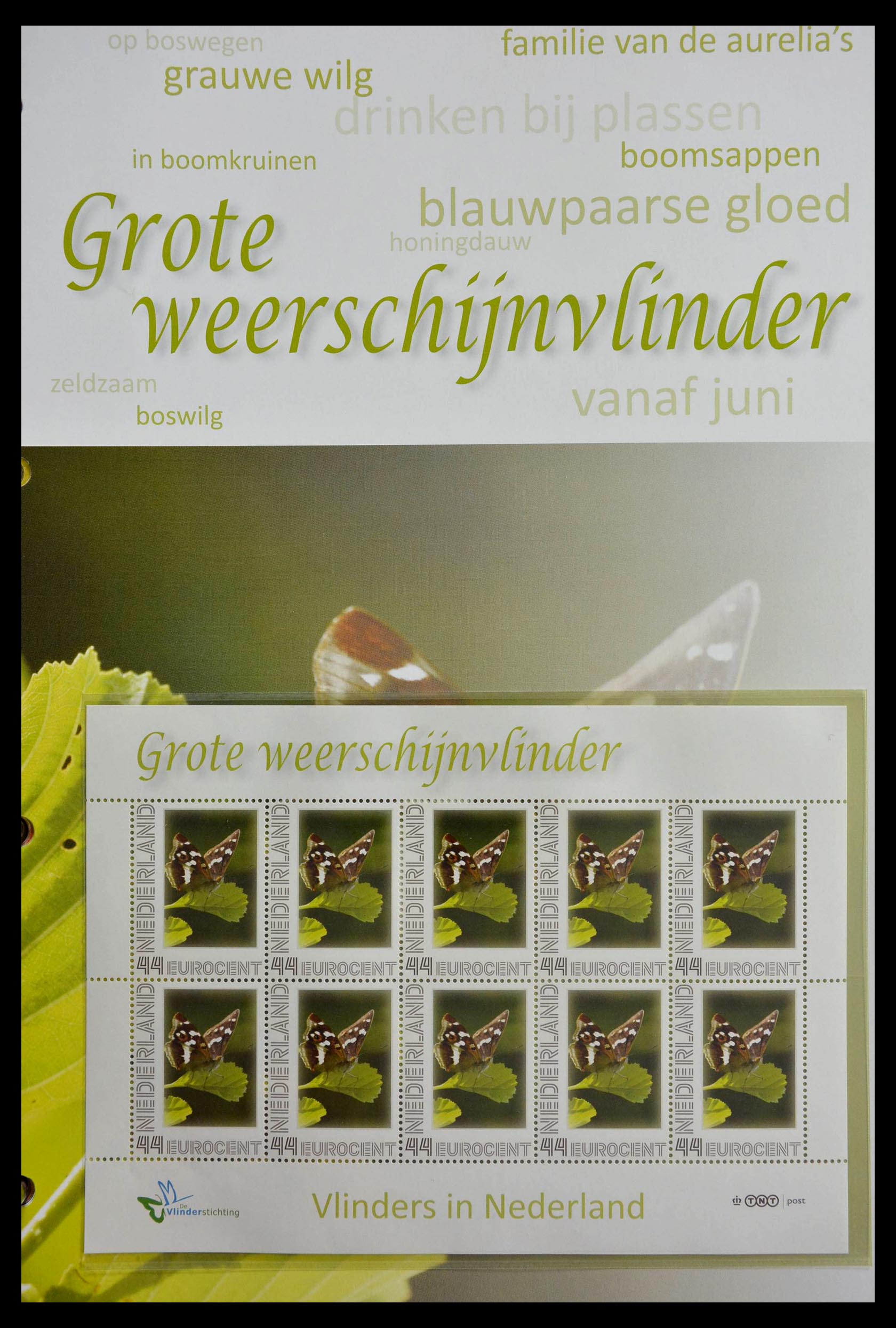 13105 040 - 13105 Butterflies in the Netherlands.