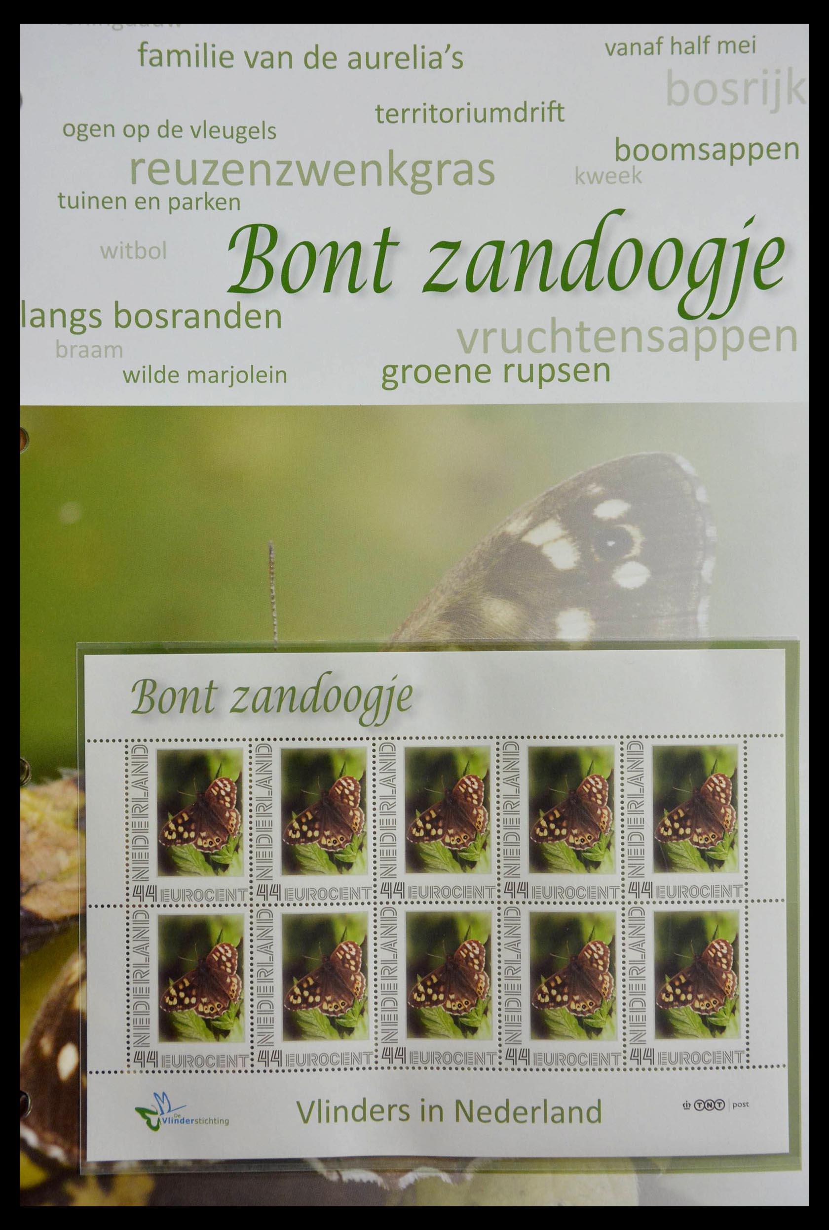 13105 046 - 13105 Butterflies in the Netherlands.