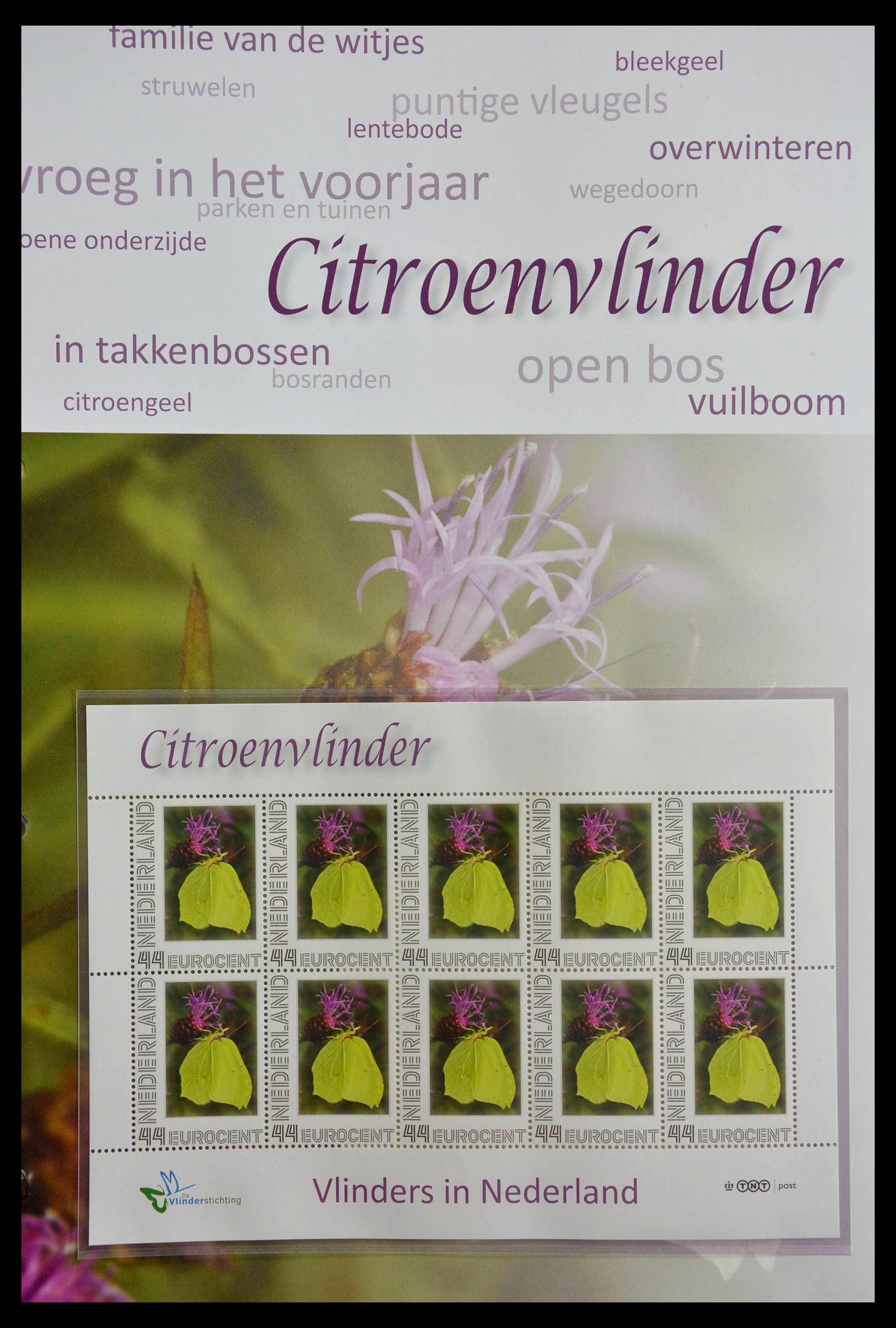 13105 056 - 13105 Butterflies in the Netherlands.