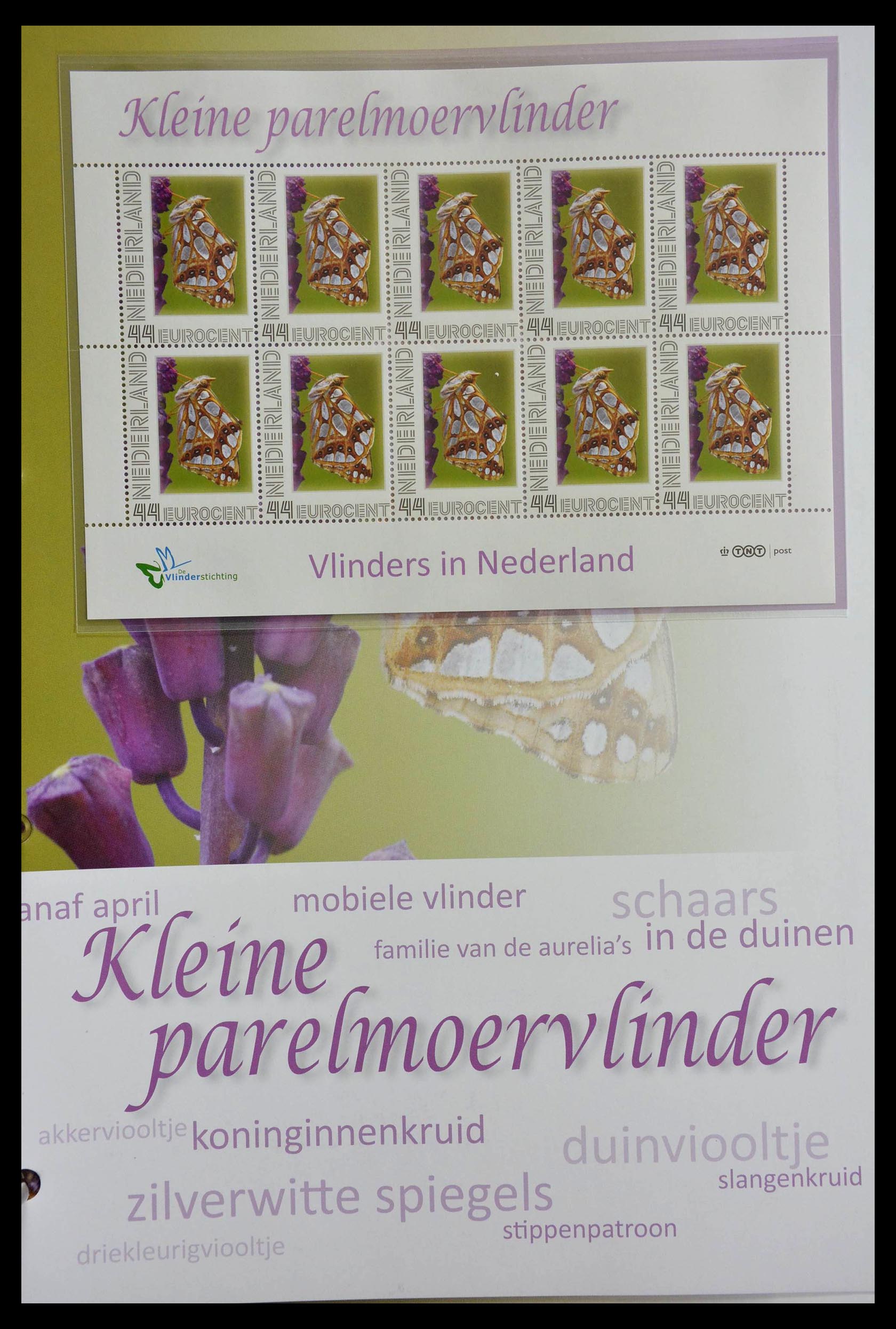 13105 057 - 13105 Butterflies in the Netherlands.