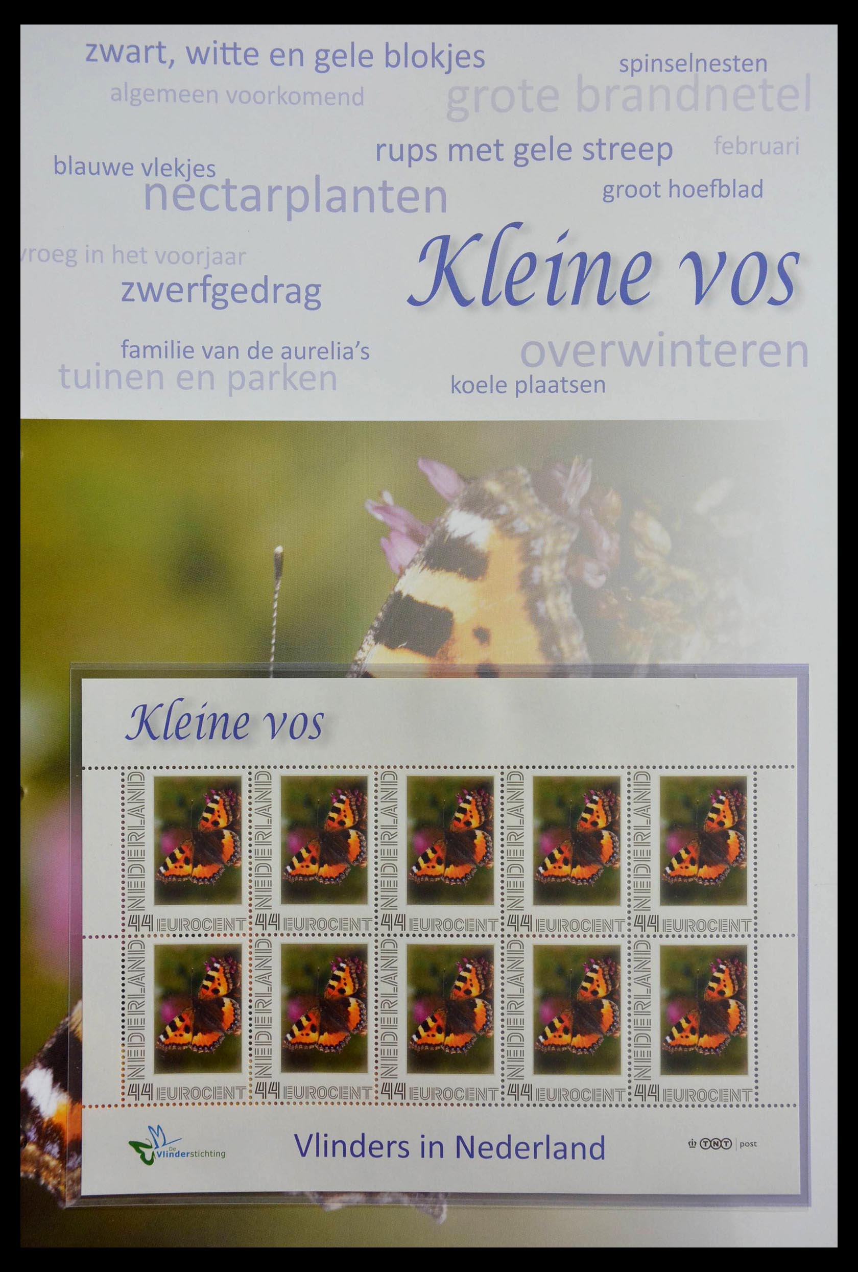 13105 058 - 13105 Butterflies in the Netherlands.