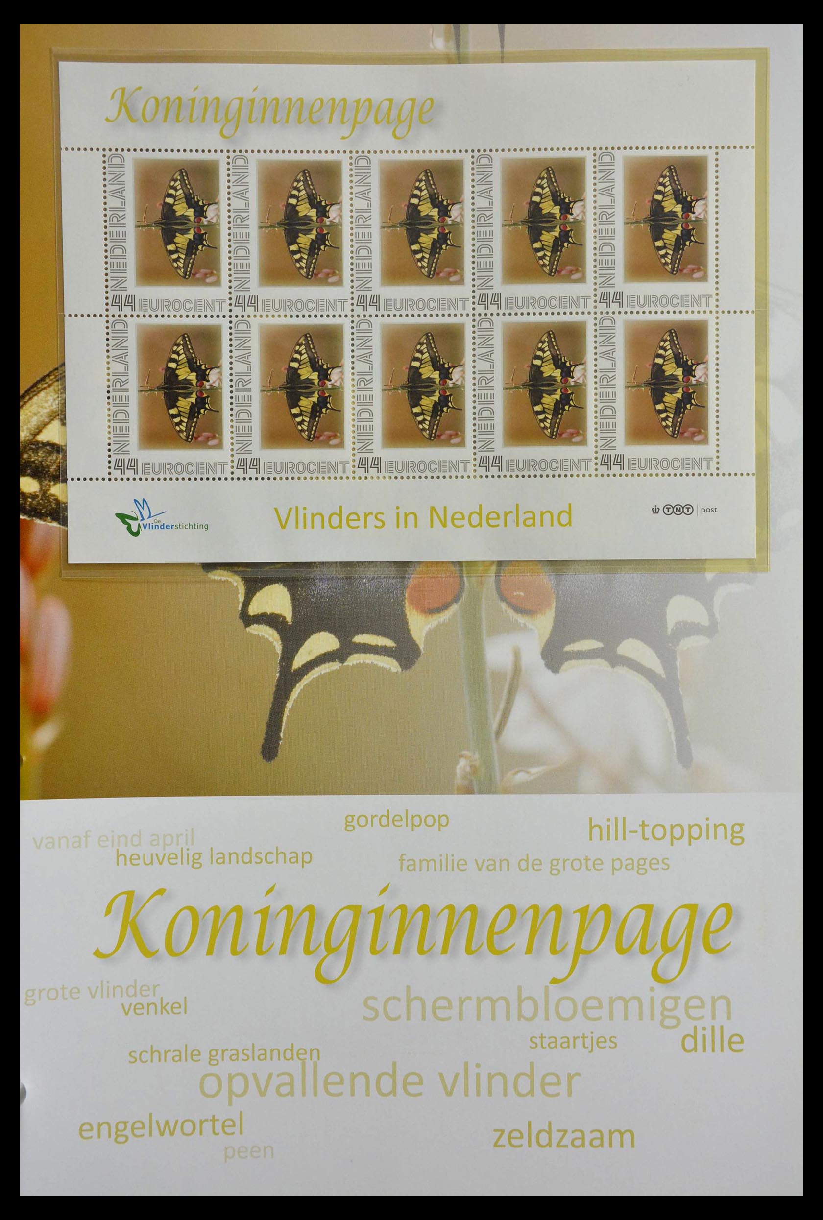 13105 059 - 13105 Butterflies in the Netherlands.