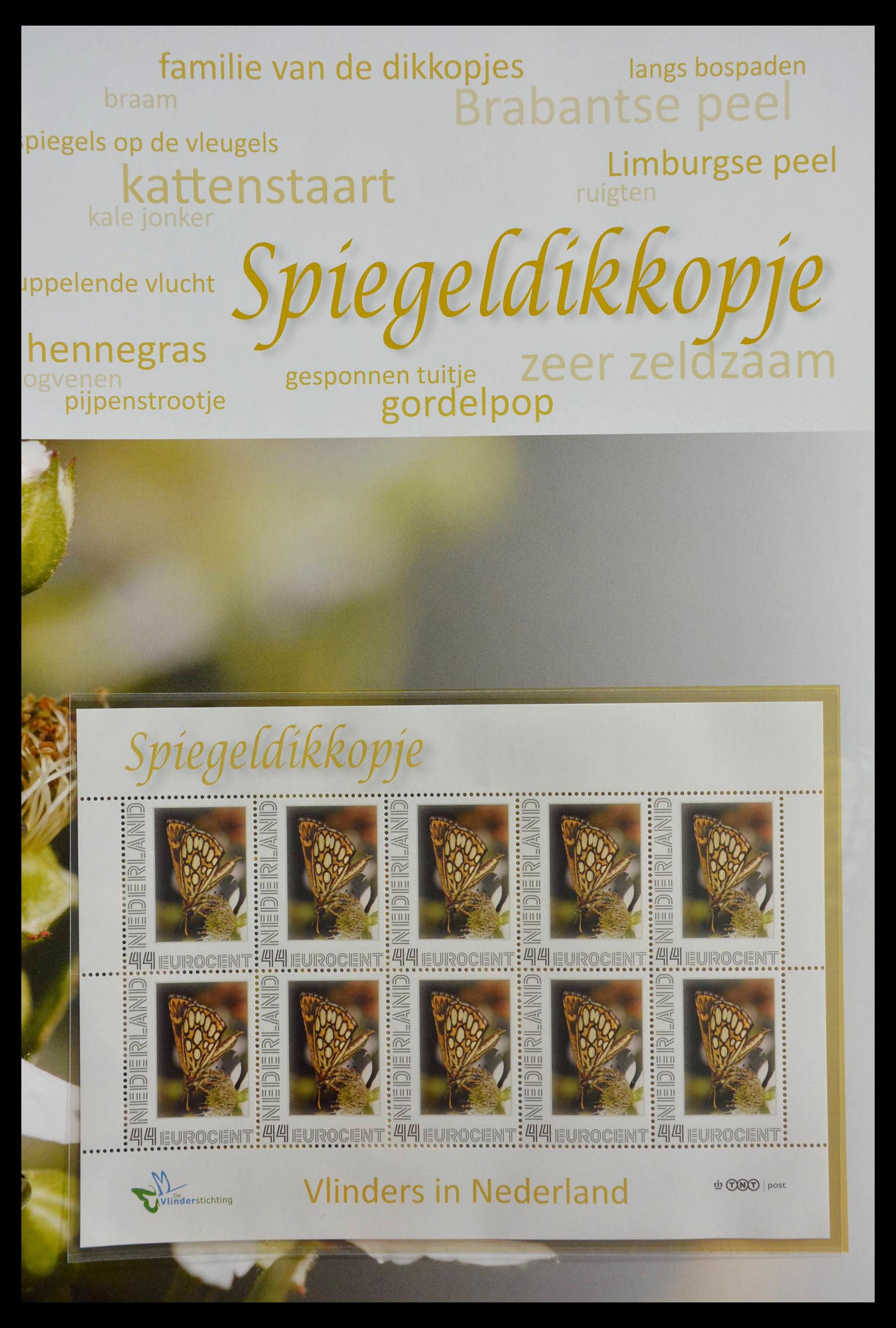 13105 061 - 13105 Butterflies in the Netherlands.