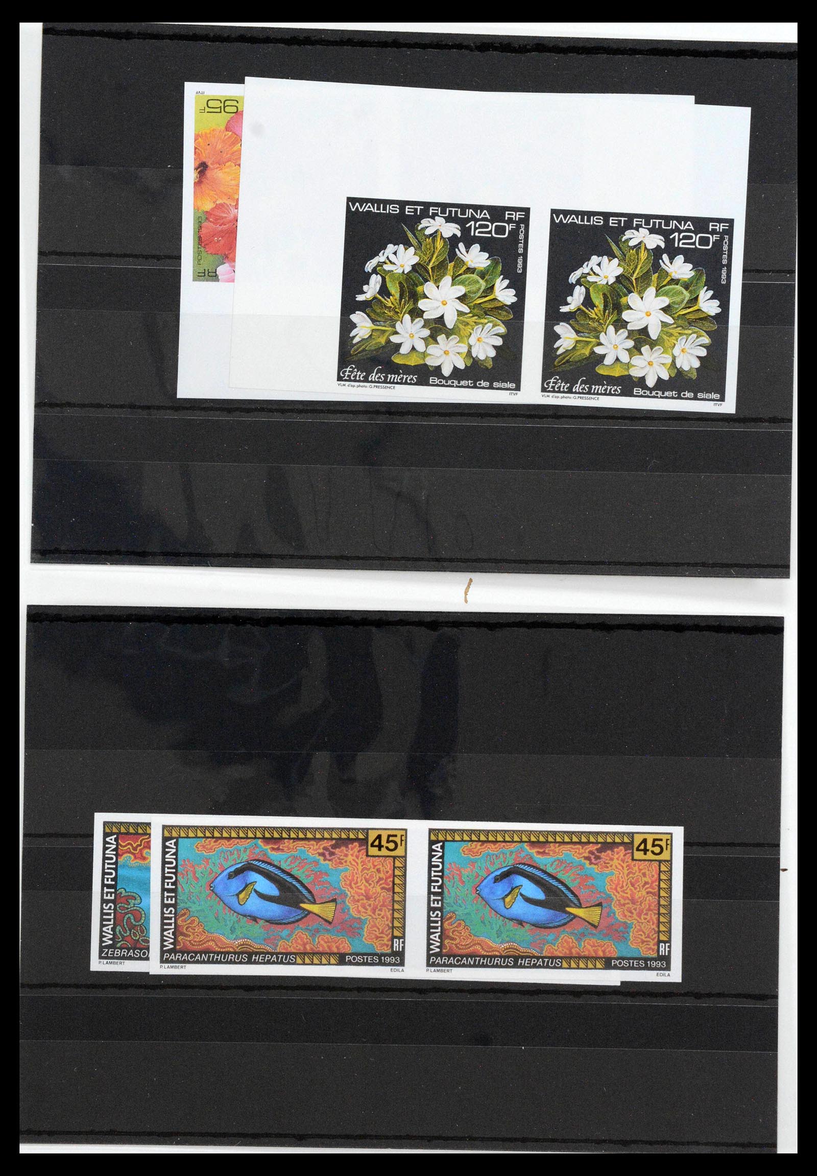 13139 0035 - Postzegelverzameling 13139 Wallis et Futuna ongetand 1977-1997,