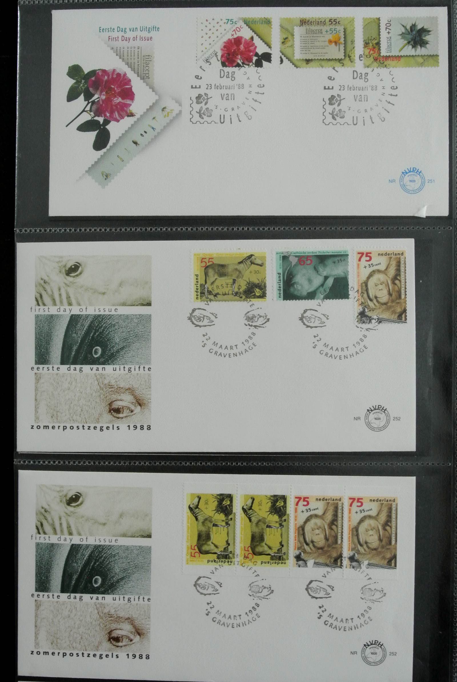 26929 094 - 26929 Netherlands 1950-2015 FDC's.