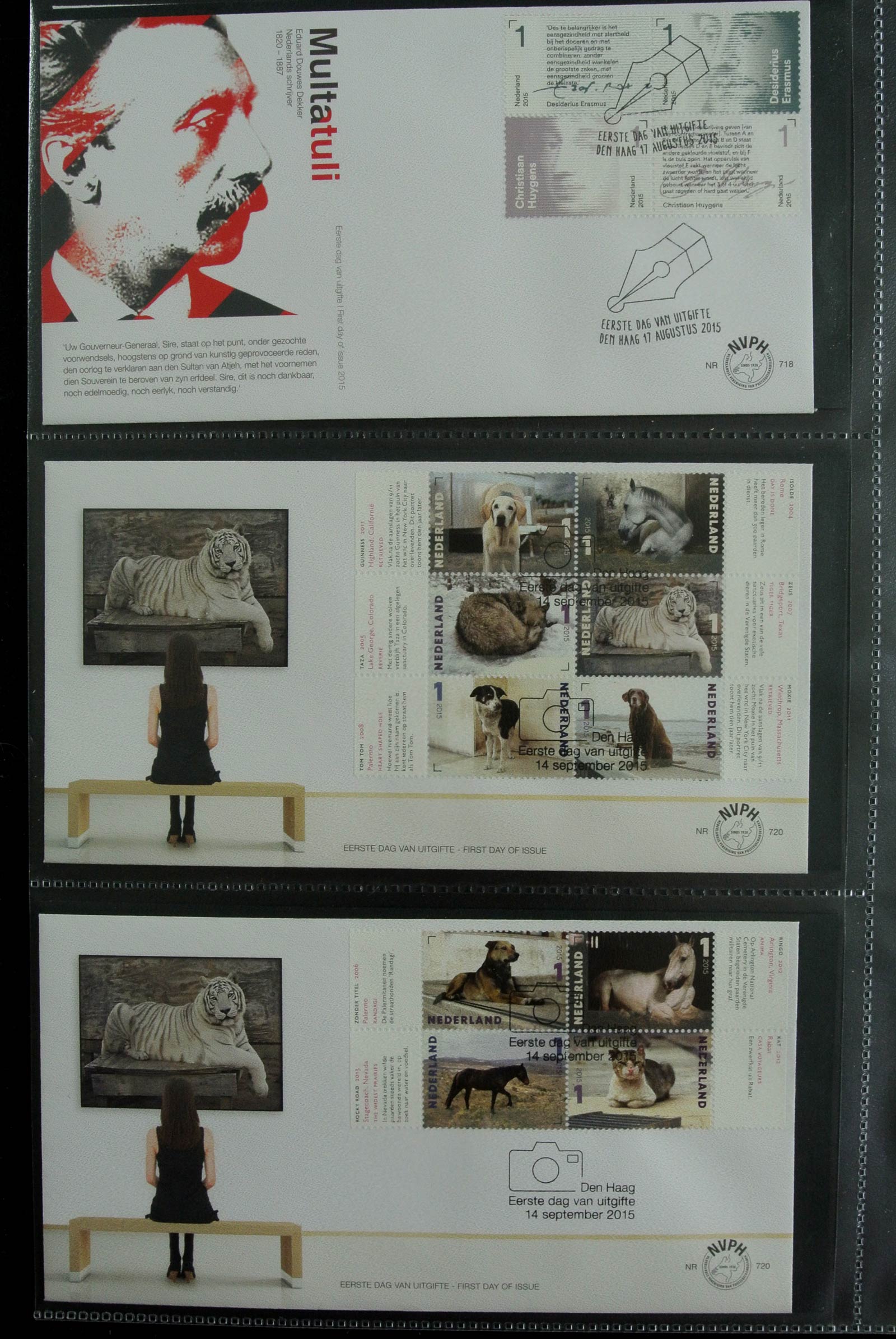 26929 290 - 26929 Netherlands 1950-2015 FDC's.