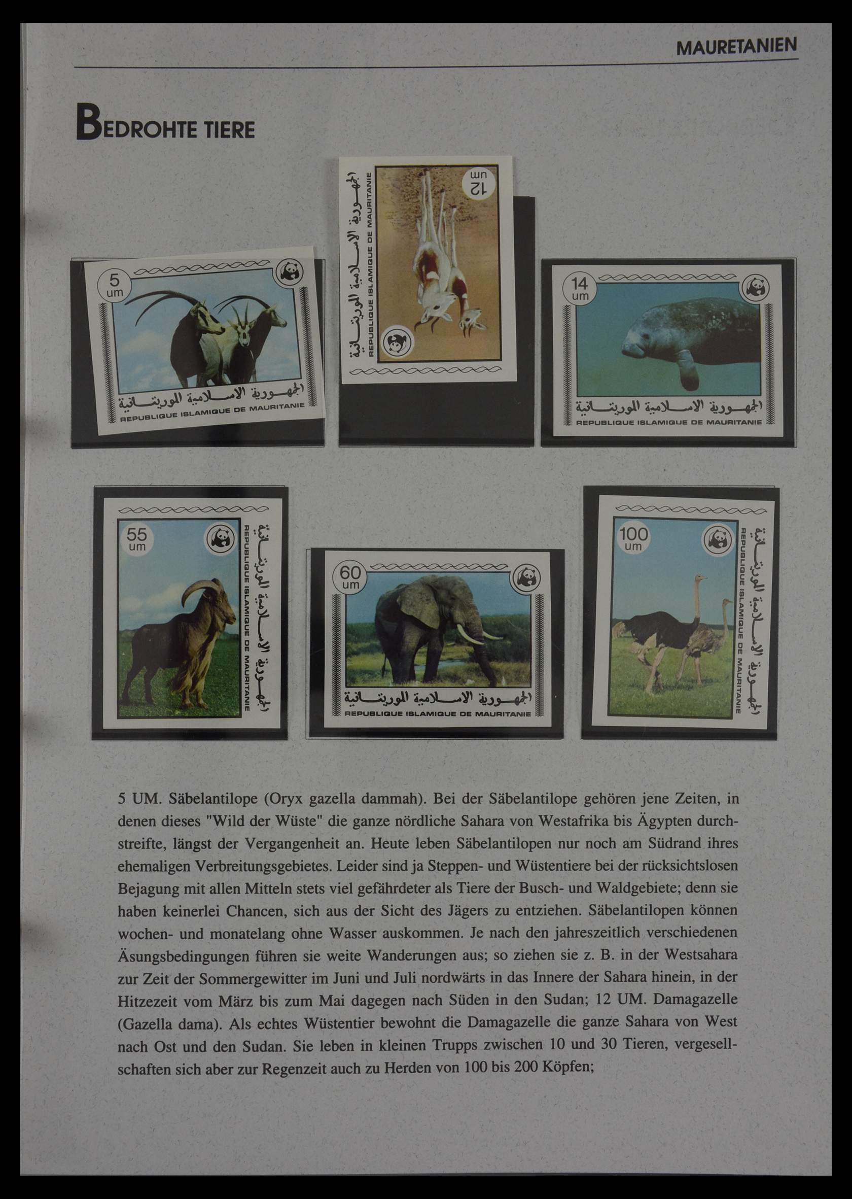 27382 191 - 27382 Verenigde Naties 1957-2003 FDC's.