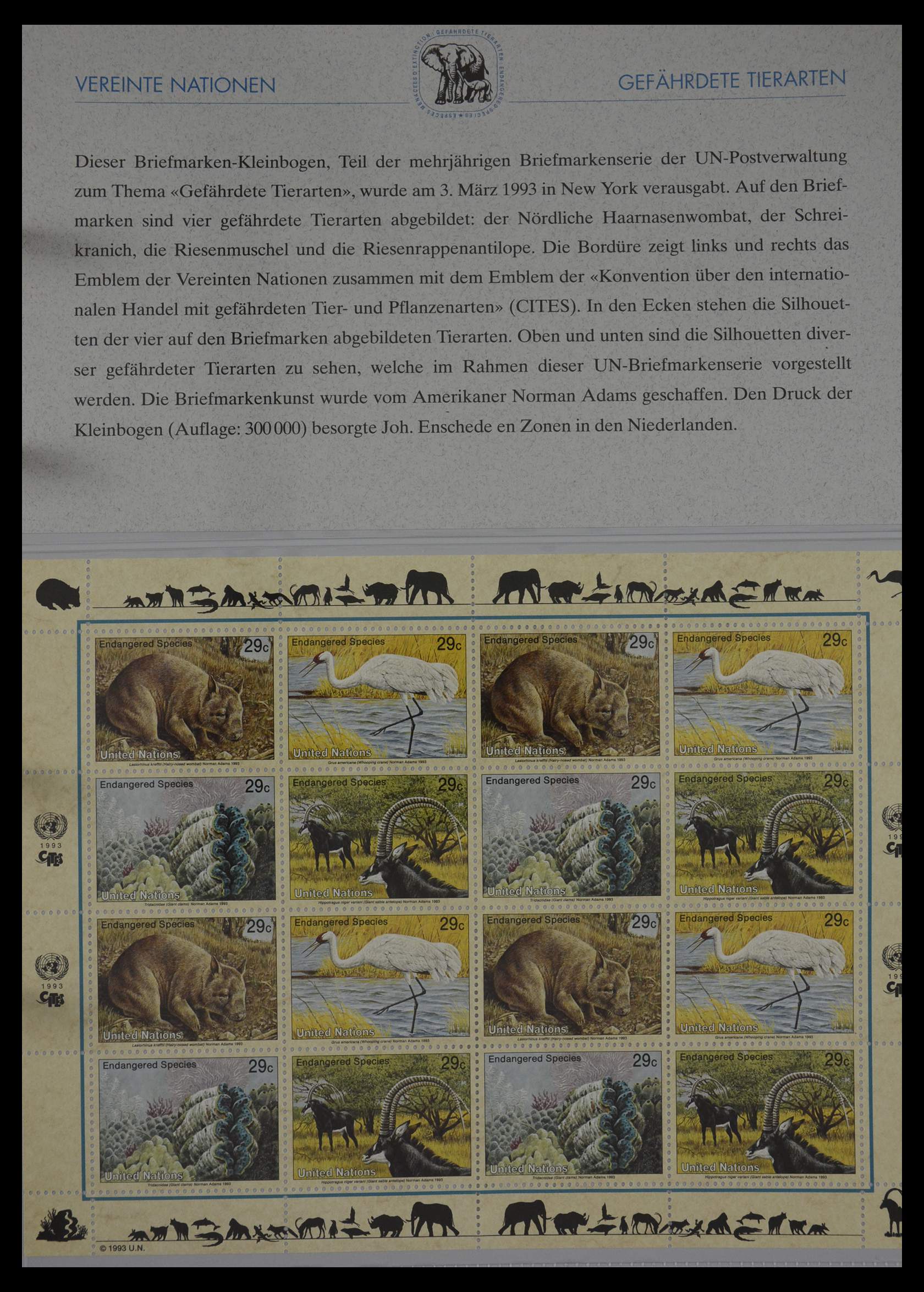 27382 196 - 27382 Verenigde Naties 1957-2003 FDC's.