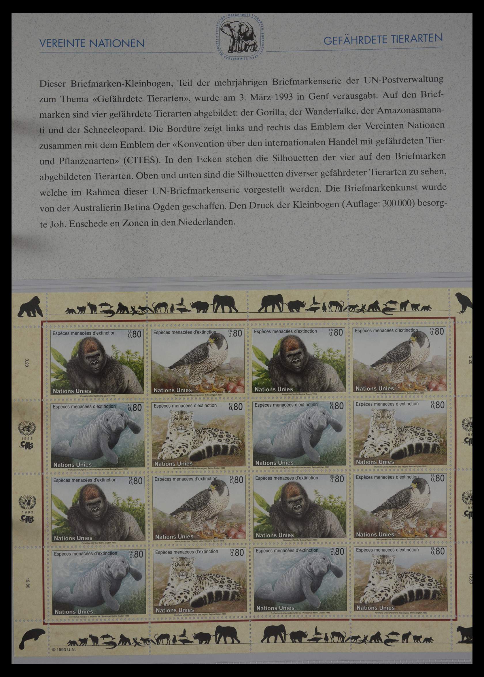 27382 197 - 27382 Verenigde Naties 1957-2003 FDC's.