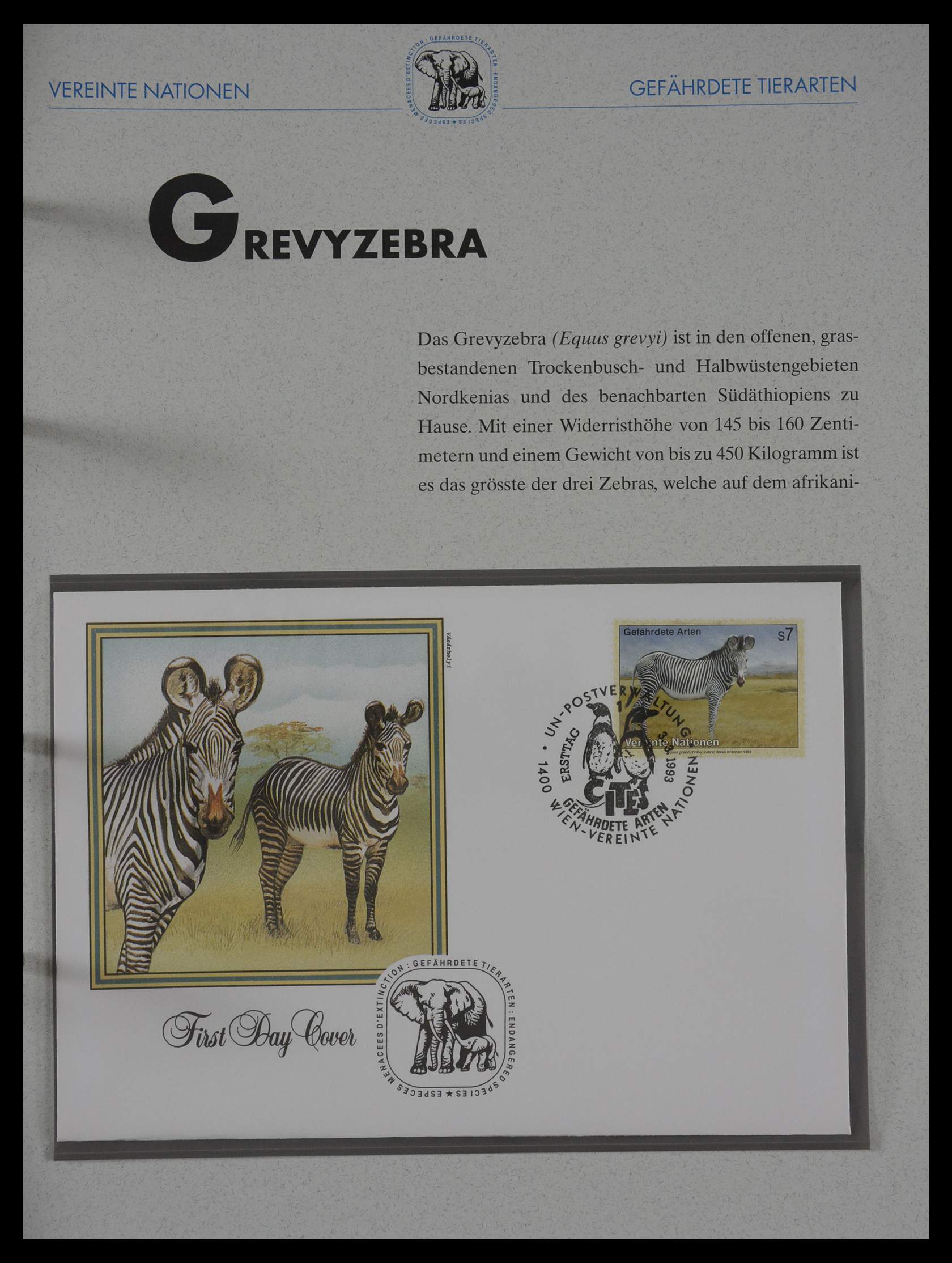 27382 212 - 27382 Verenigde Naties 1957-2003 FDC's.