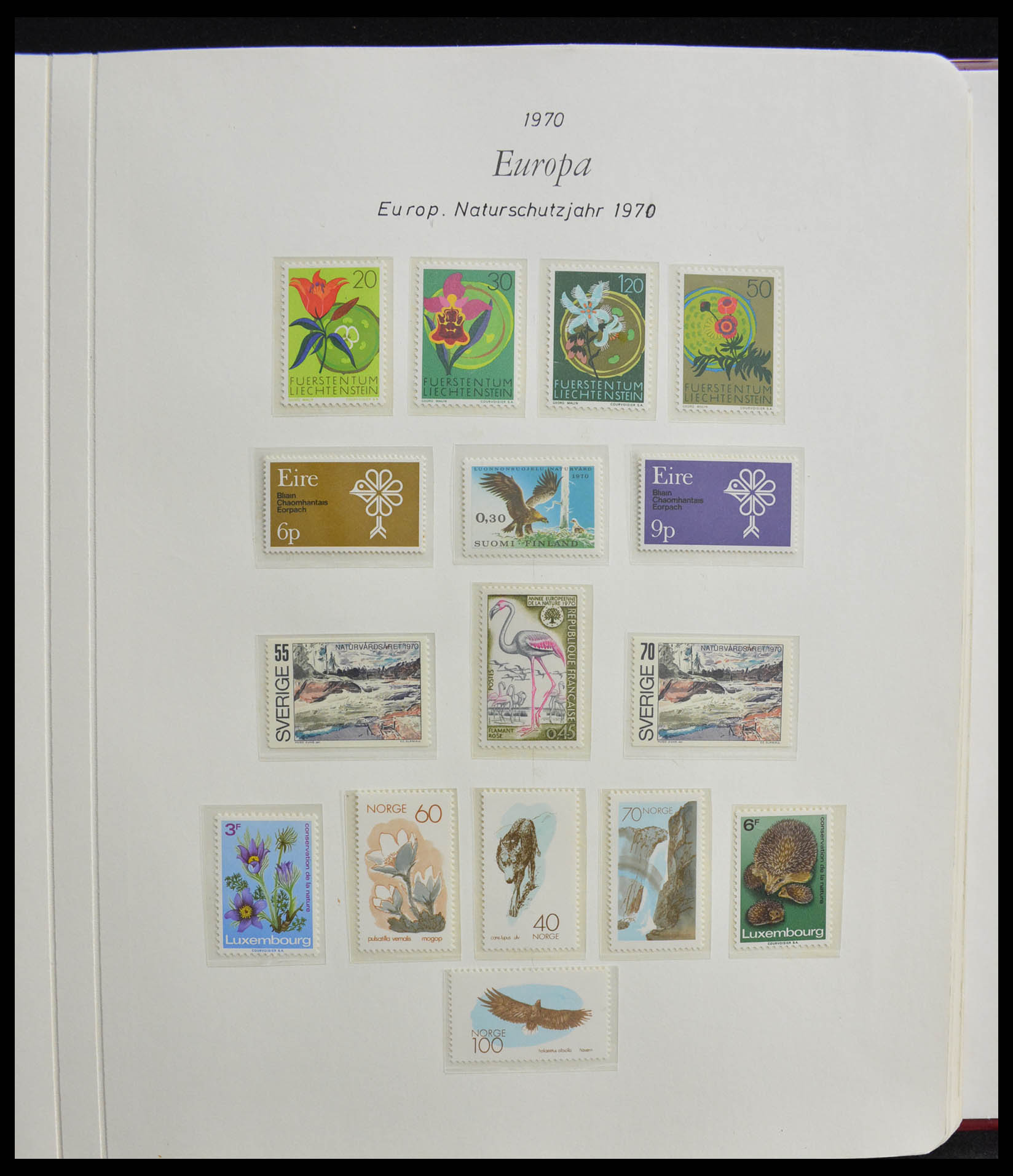 28356 0097 - 28356 Europa Cept ultra specialised collection 1942-1984.