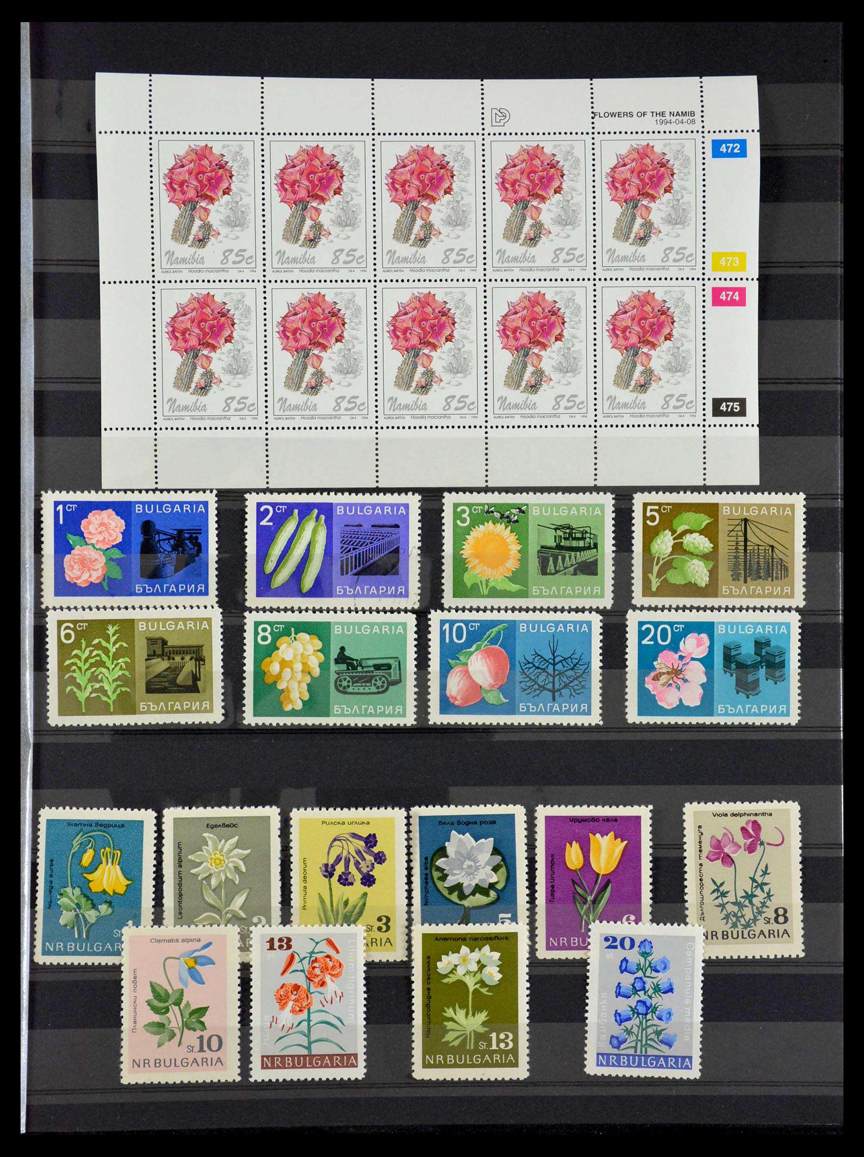 28721 019 - 28721 Flora.