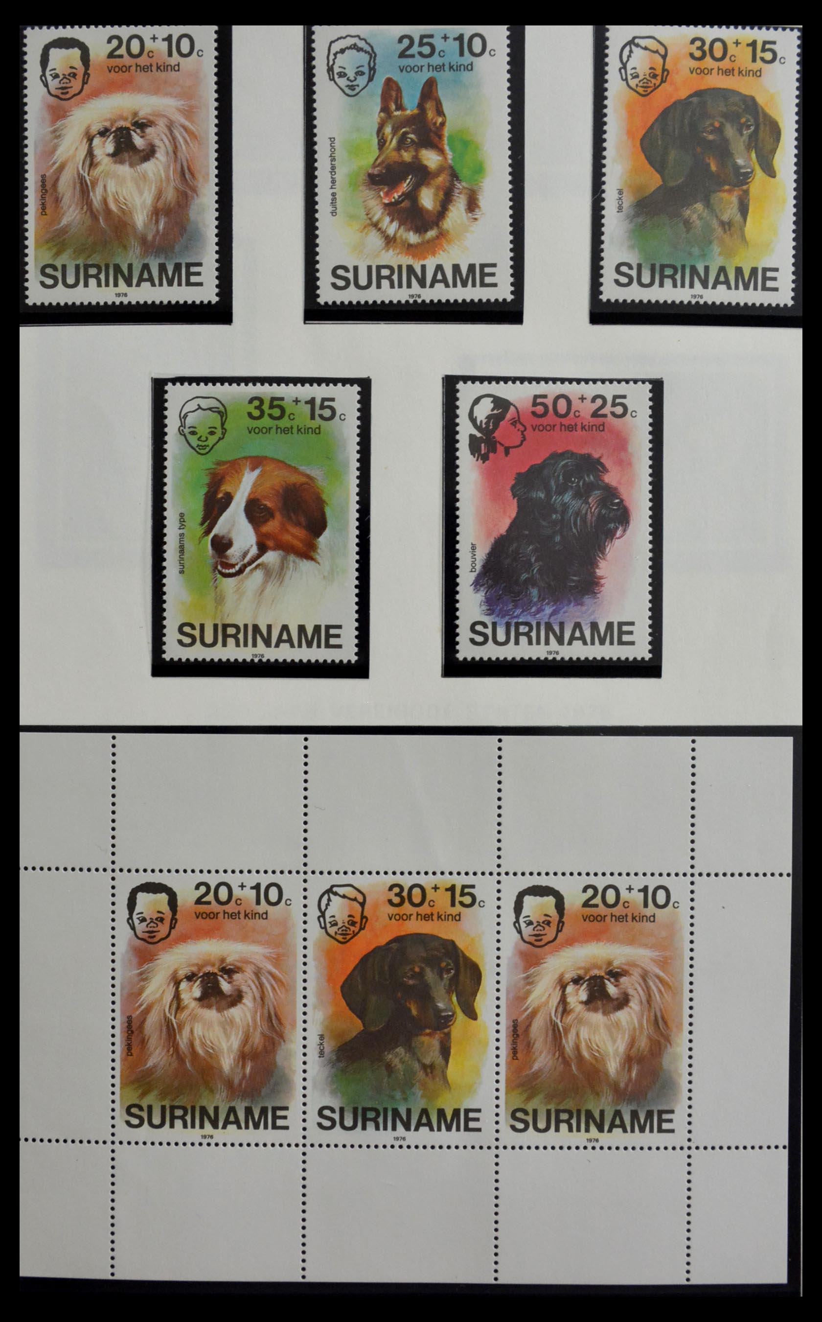28941 009 - 28941 Republiek Suriname 1975-1996.