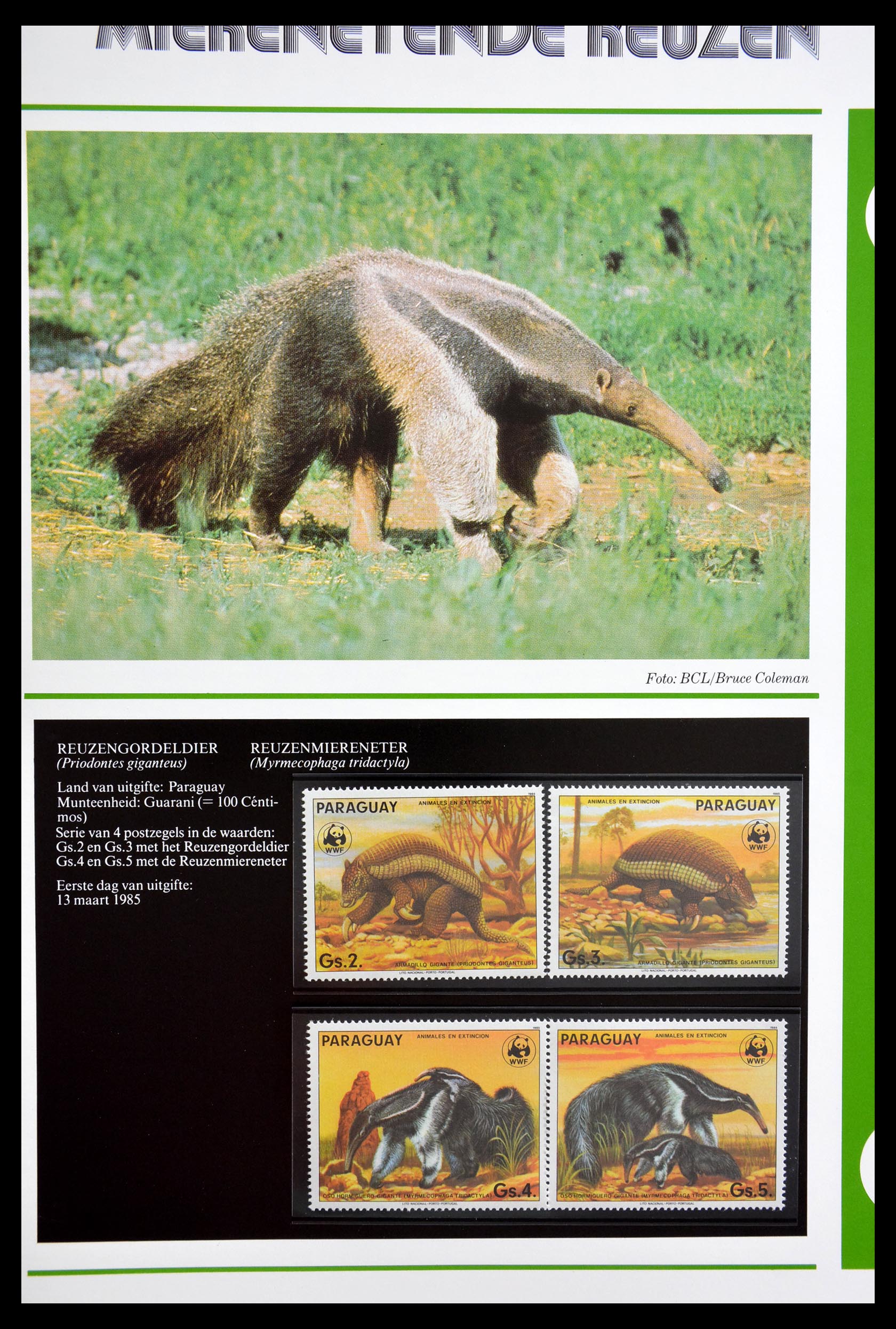 29052 004 - 29052 WWF 1983-2003.