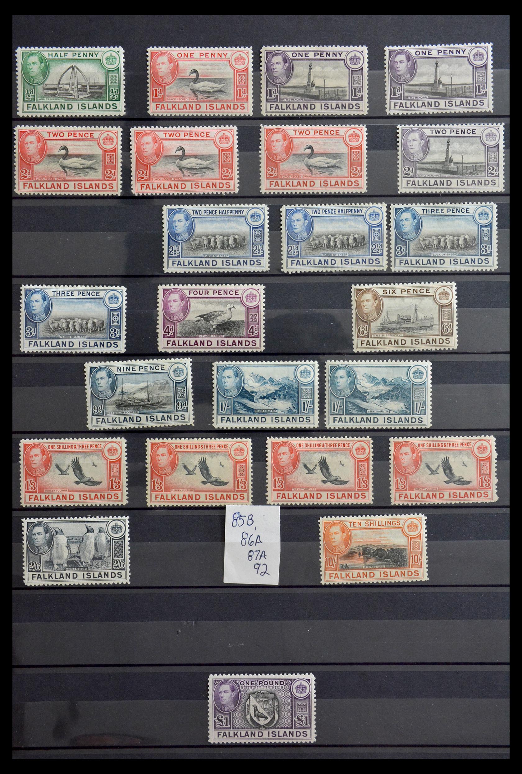 29169 002 - 29169 Falkland Islands 1933-1983.
