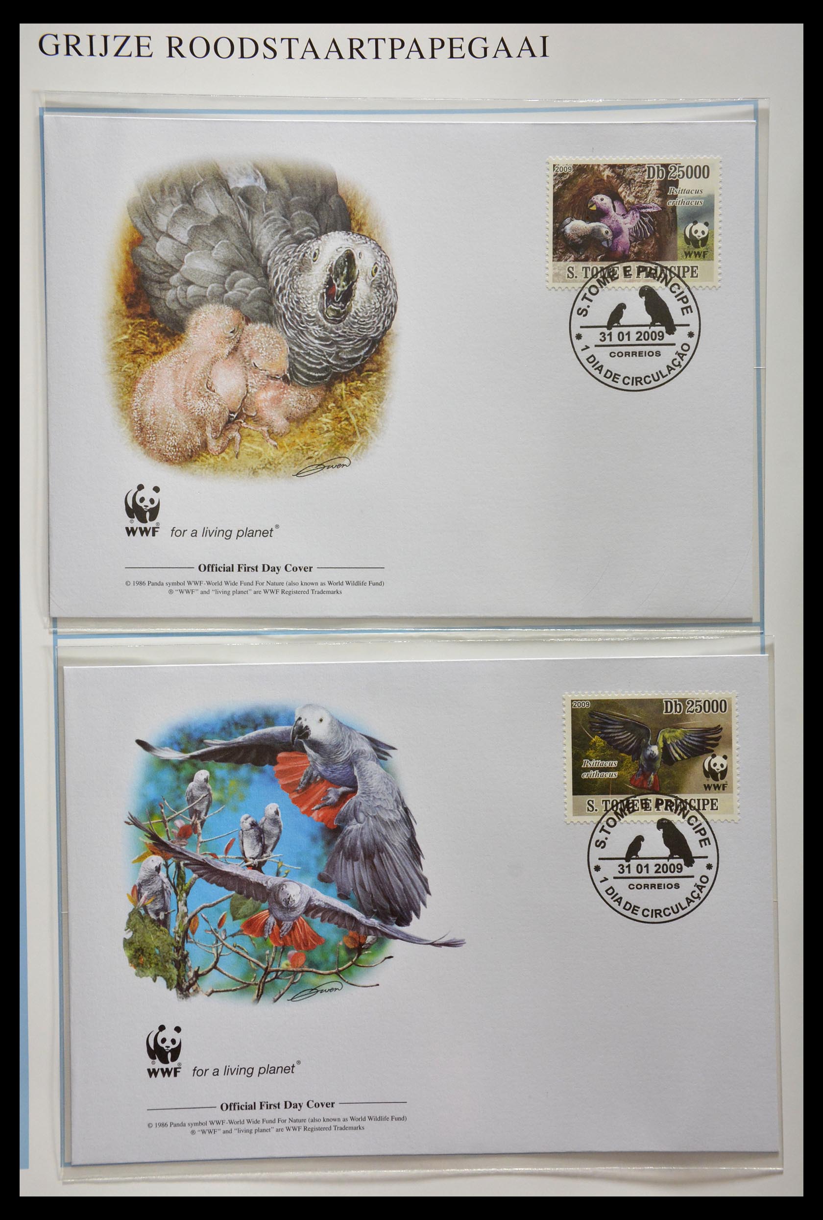 29243 003 - 29243 World Wildlife Fund 1983-2008.