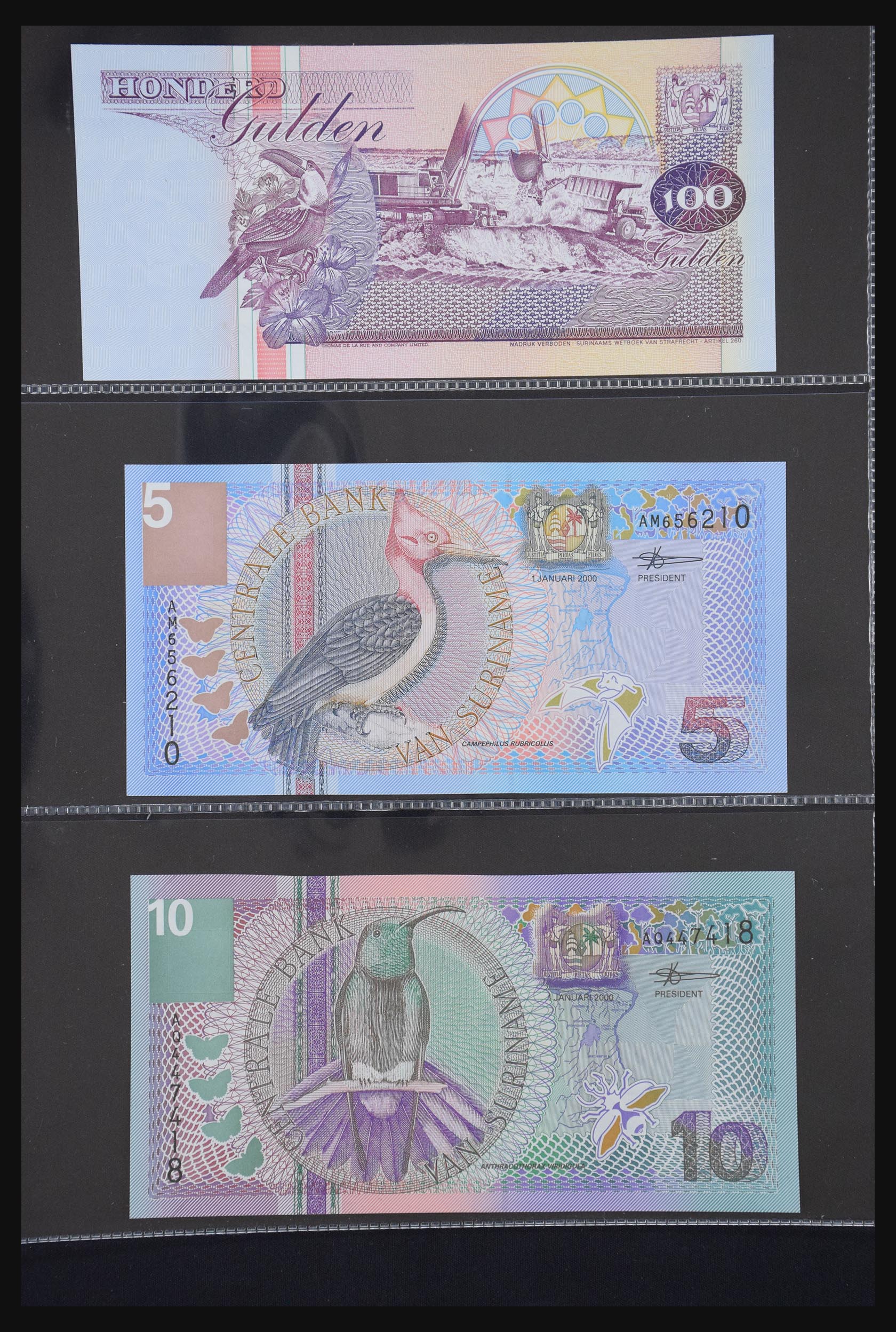 29404 054 - 29404 Netherlands banknotes 1924-1997.