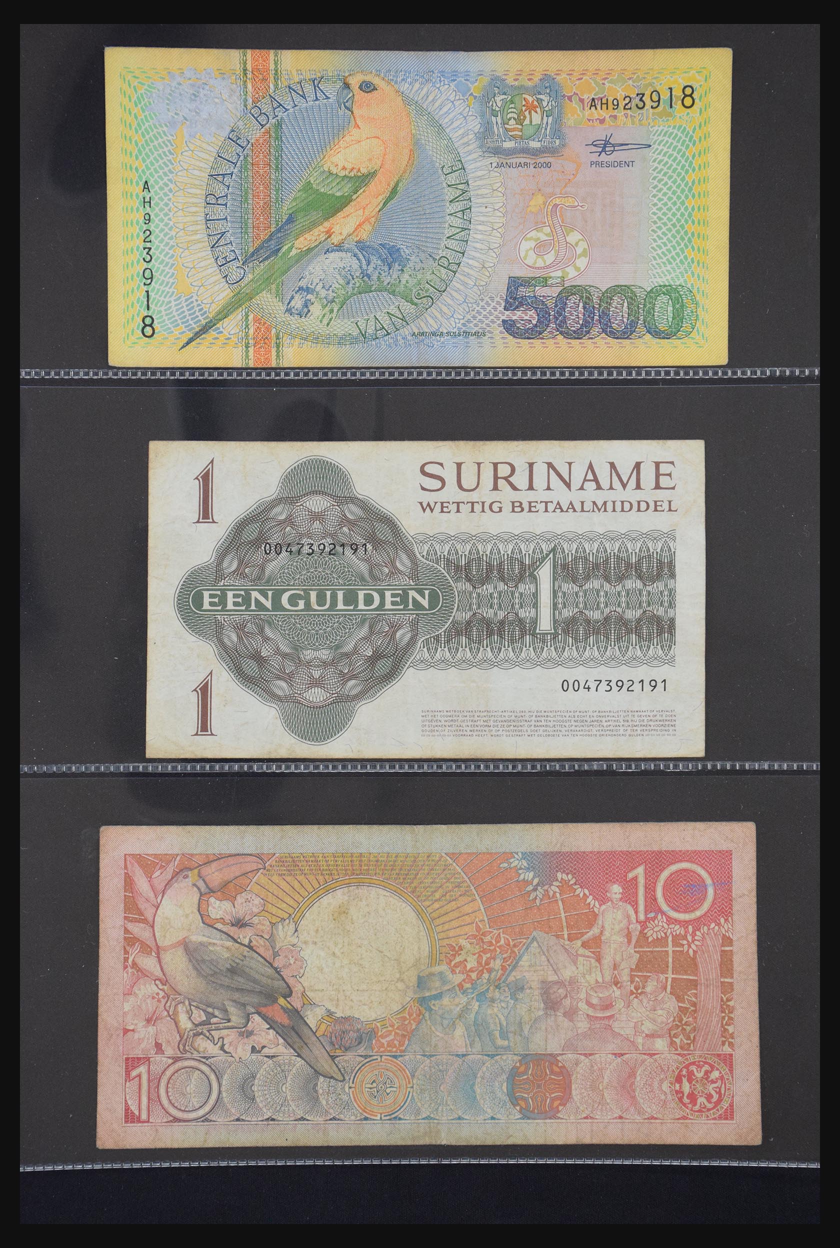 29404 058 - 29404 Netherlands banknotes 1924-1997.