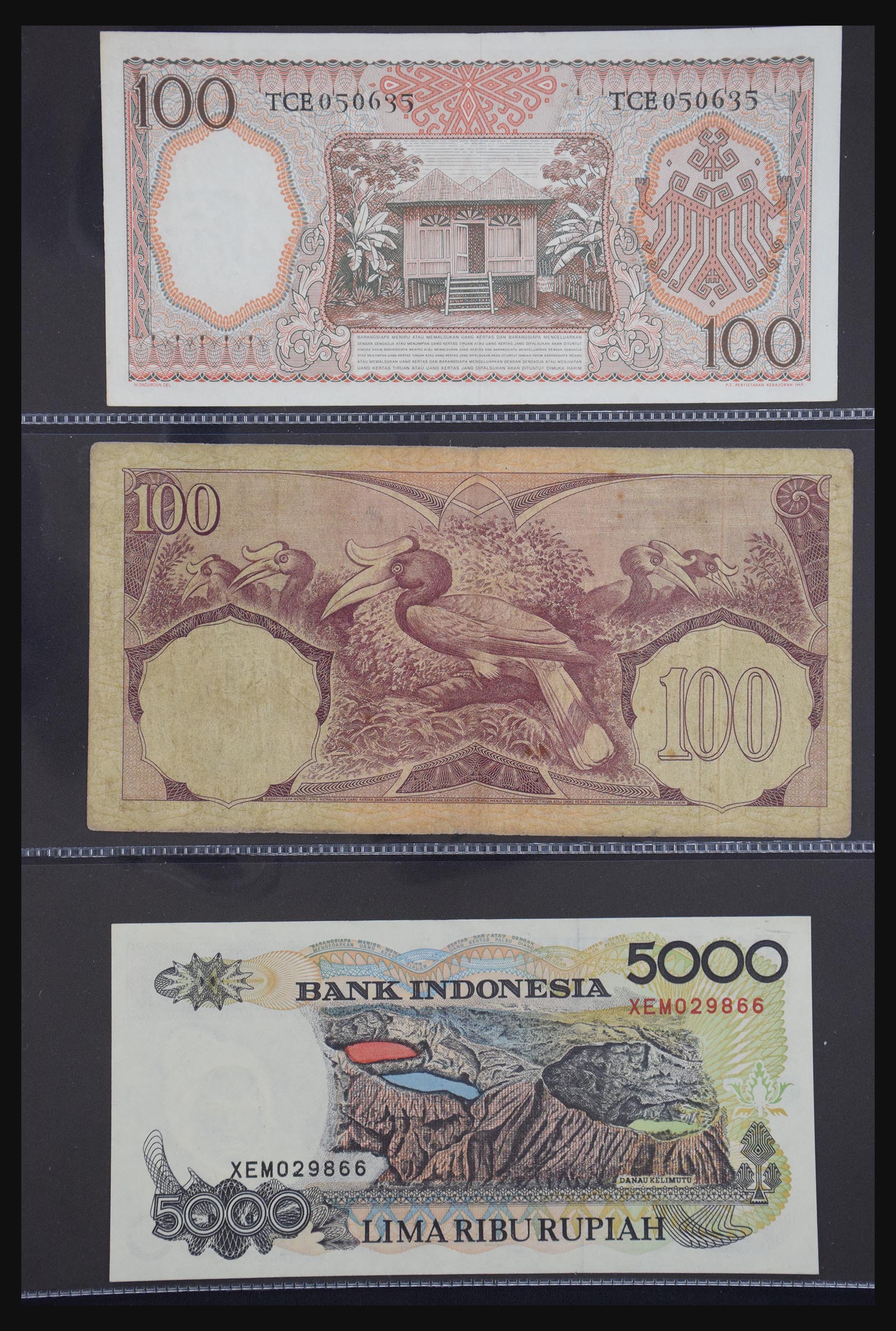 29404 076 - 29404 Netherlands banknotes 1924-1997.