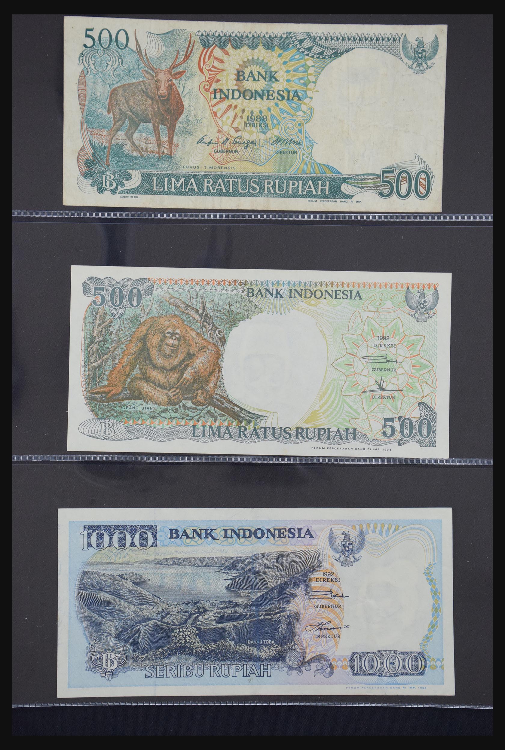 29404 082 - 29404 Netherlands banknotes 1924-1997.