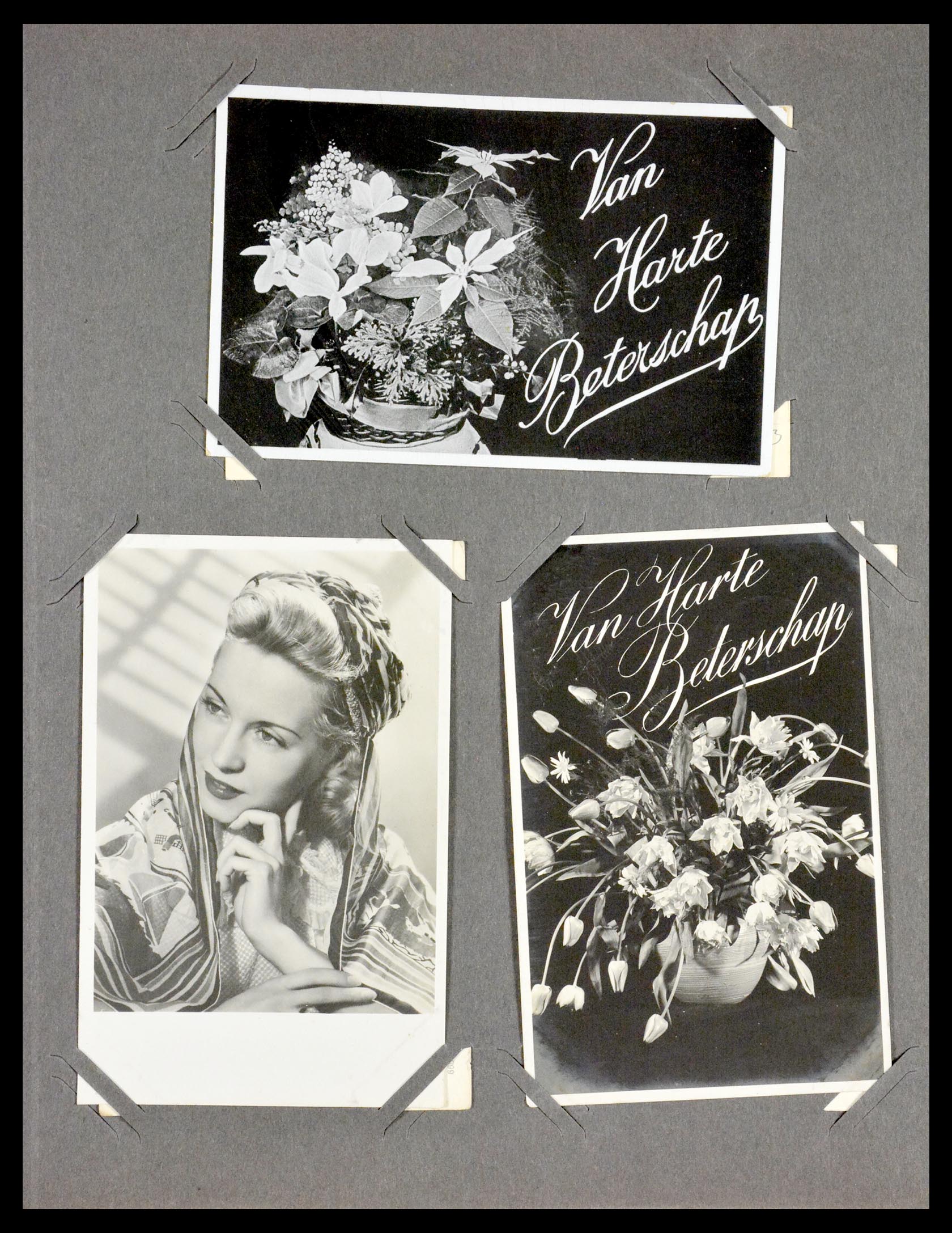 29518 040 - 29518 Netherlands picture postcards 1939-1940.