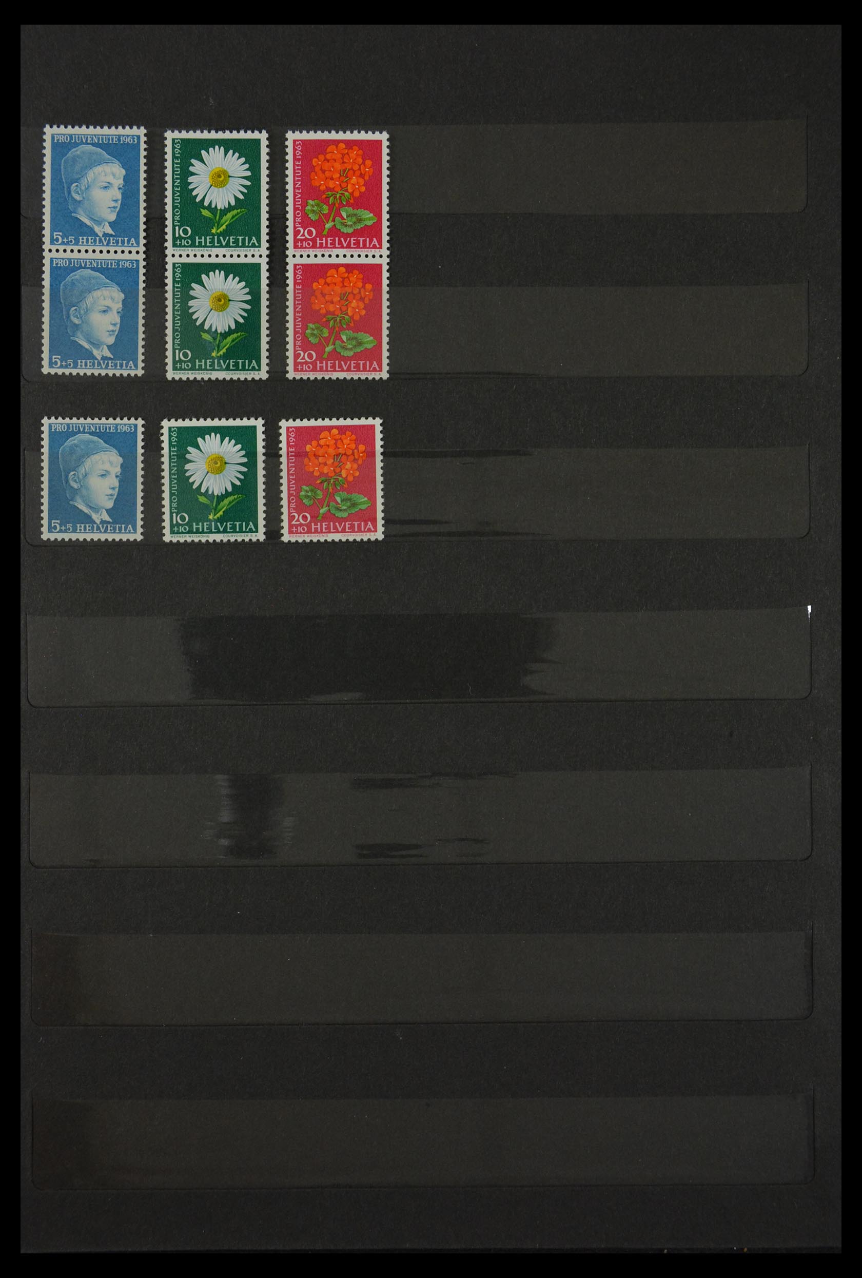 29613 031 - 29613 Zwitserland 1882-1960.